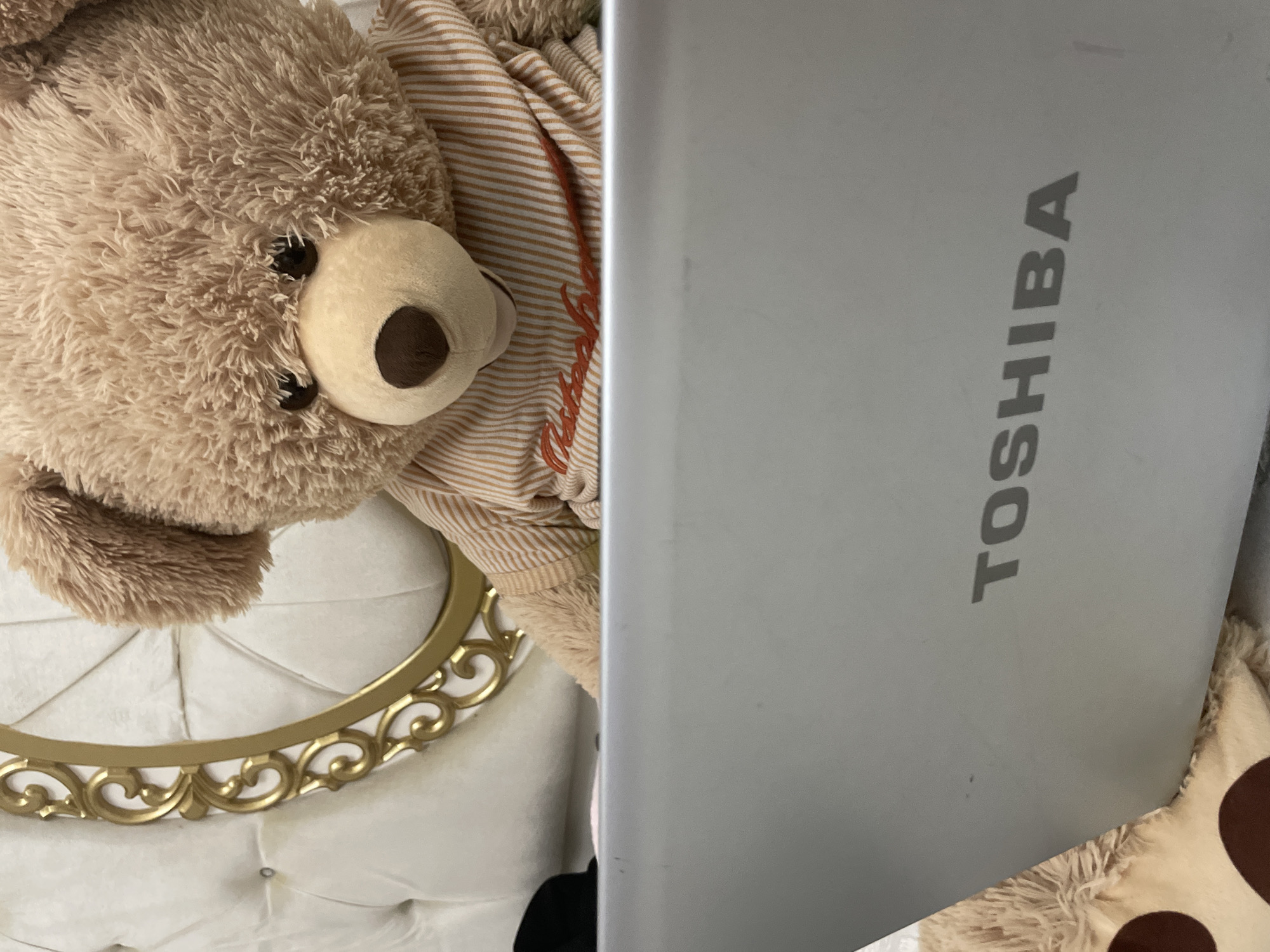 A light brown, fluffy teddy bear is depicted in a cozy indoor setting. The bear has dark, round eyes and a light brown snout with a dark brown nose. It is wearing a striped, long-sleeved shirt with thin orange and light-colored stripes. Orange embroidery on the shirt is partially visible, appearing to spell out "Steiff" or a similar brand name.
Next to the teddy bear, a silver-colored laptop stands upright, its lid facing the viewer. The brand name "TOSHIBA" is prominently displayed in dark gray capital letters on the laptop's surface.
The bear and laptop rest on or beside a piece of white, tufted, upholstered furniture, possibly a headboard or armchair. A decorative gold-colored frame with ornate scrollwork adorns the edge of this furniture. The overall scene suggests a playful arrangement where the teddy bear appears to be engaging with the laptop. No specific time of day, weather, or location cues are visible that would indicate Ihtiman, Bulgaria.