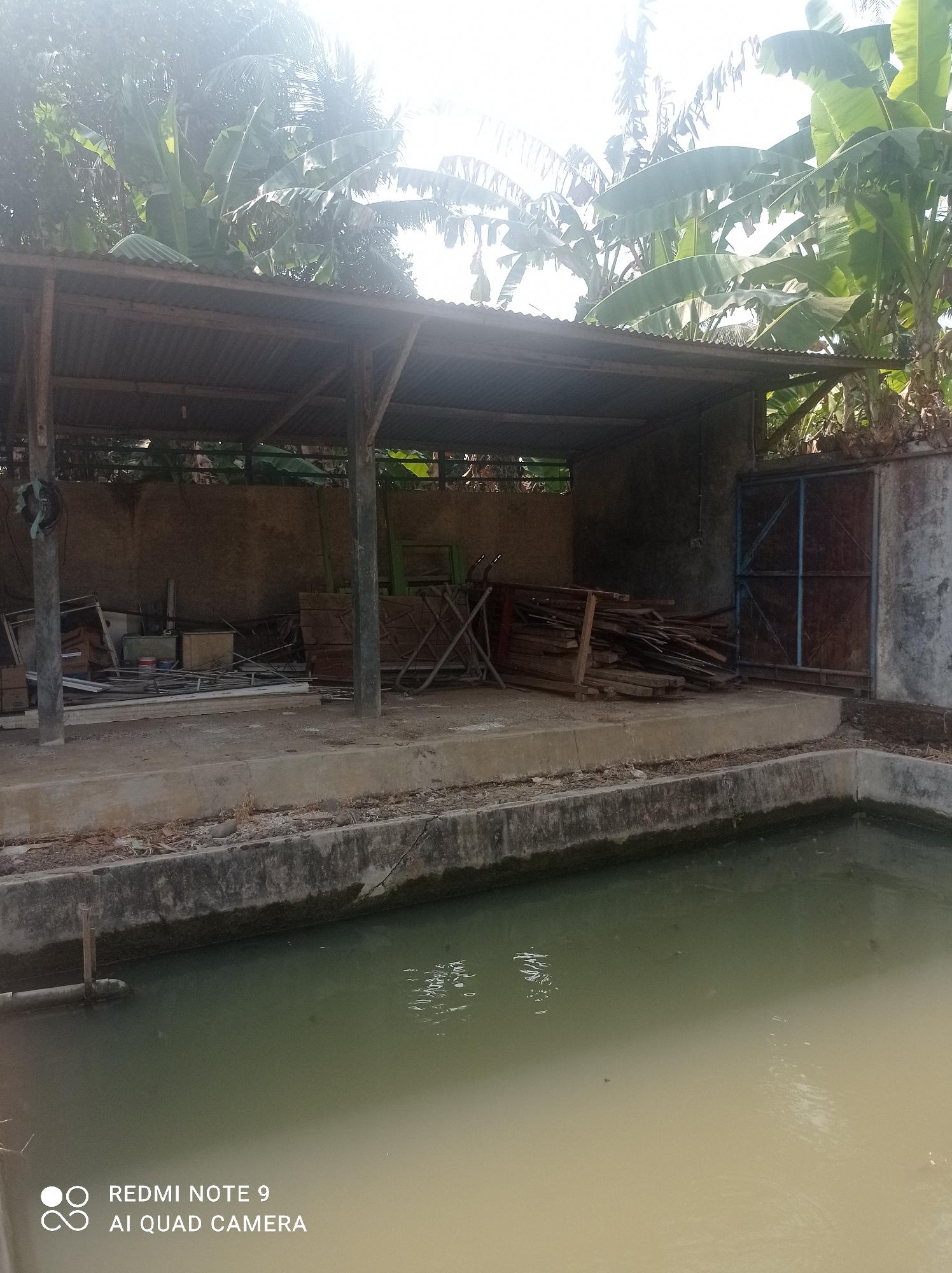The image depicts an outdoor scene, likely in Cipawon, Indonesia, featuring a covered structure with a corrugated metal roof supported by wooden posts. The structure appears to be an open-sided shed or workshop, with a concrete floor and a rear wall made of concrete blocks. Inside the shed, various items are stored, including stacks of wood, metal pipes, and what appear to be discarded building materials and furniture. A blue metal gate or door is visible on the right side of the structure, set into a concrete wall. In front of the shed is a concrete-lined canal or pond filled with murky green water. Lush green banana trees and other foliage are visible behind and to the sides of the structure, suggesting a tropical environment. The lighting indicates it is daytime, with bright sunlight creating some glare. The bottom left corner of the image contains a watermark with "REDMI NOTE 9 AI QUAD CAMERA". No people are present in the image.