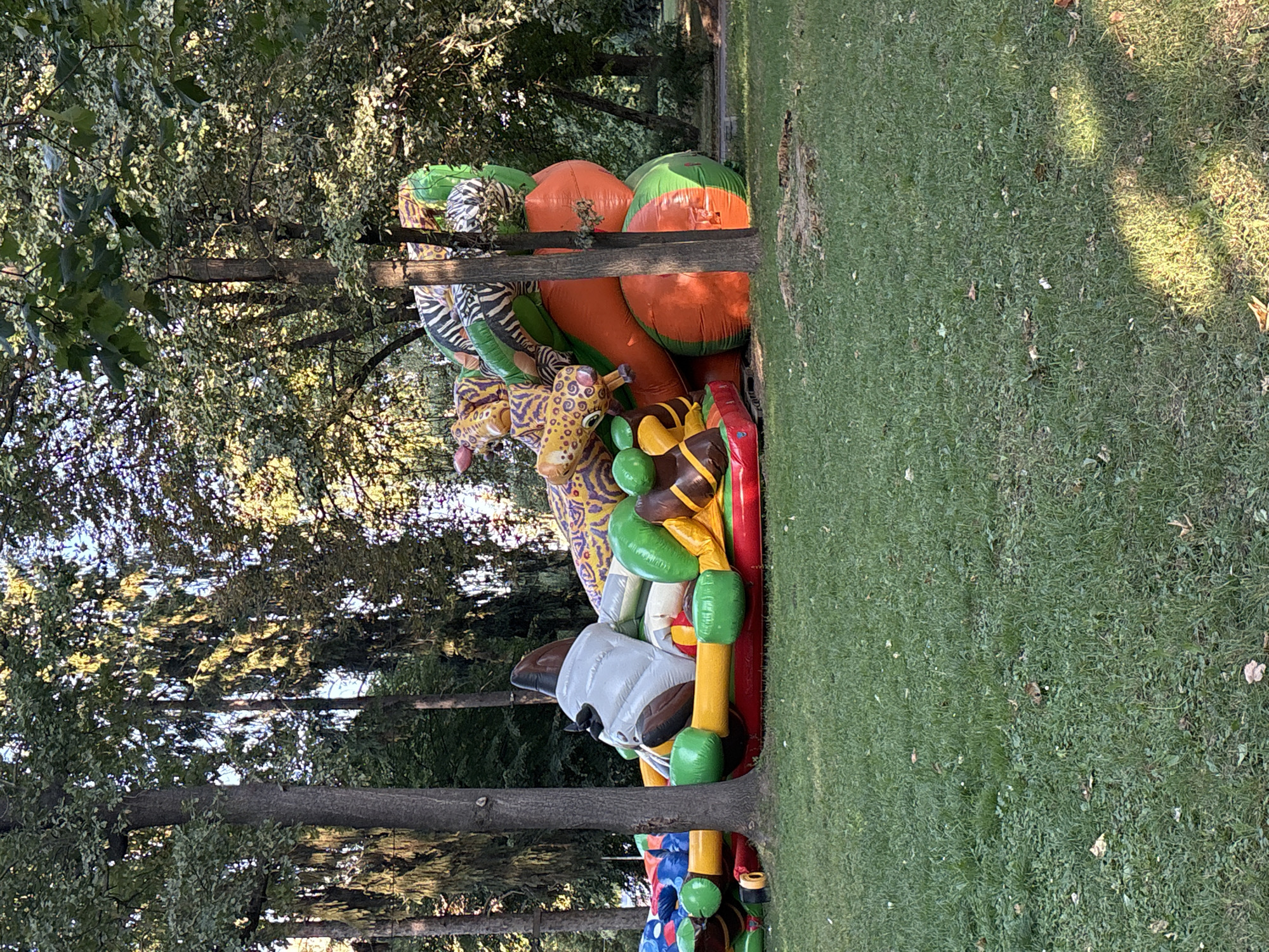 The image depicts an inflatable playground with various cartoon animal figures set up on a grassy area, likely a park, surrounded by trees. The playground features large, colorful inflatable structures designed to resemble jungle animals like a leopard and a zebra, with segments of green, orange, yellow, and red. In the foreground, a large inflatable grey animal head, possibly a dog or a wolf, is prominent. The environment appears to be a park in Ternopil, Ukraine, given the context of the prompt. The time of day seems to be afternoon, as indicated by the dappled sunlight filtering through the trees and casting shadows on the grass. There are no people visible in the image, and the focus is solely on the inflatable playground and its natural surroundings. The grass is a vibrant green, with some fallen leaves scattered on it. The trees are lush and leafy, suggesting a temperate climate.