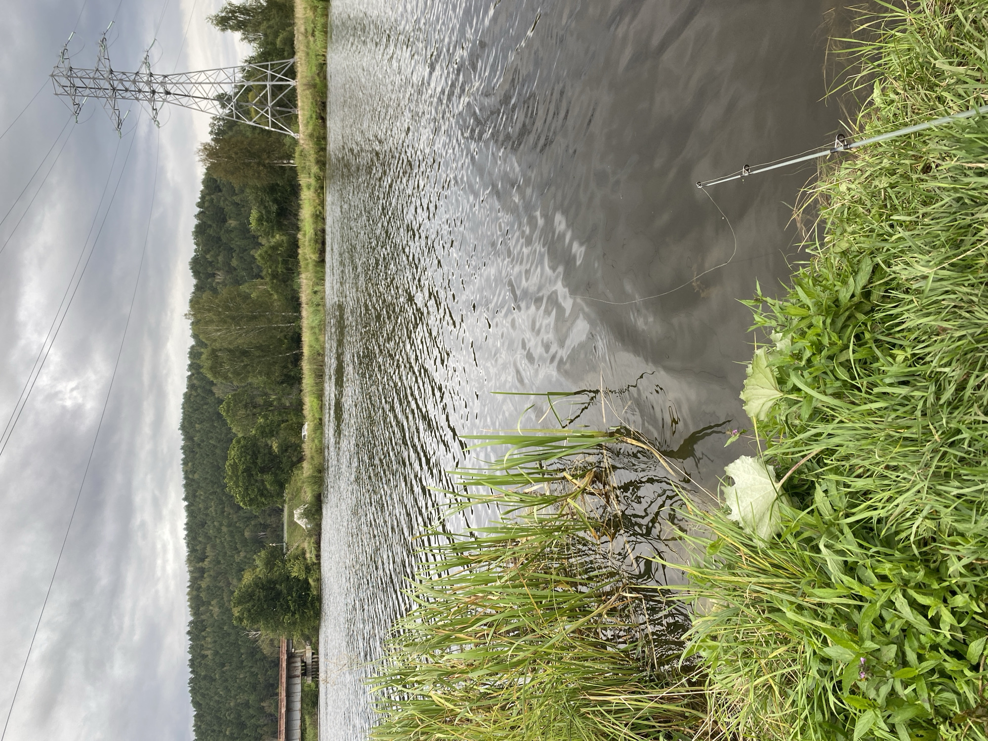 The image depicts a serene riverside scene on an overcast day. The foreground is dominated by lush green grass and reeds growing along the bank of a calm river. In the water, a fishing rod is set up, with its line extending into the murky water. The river flows gently, reflecting the cloudy sky. In the mid-ground, a dense forest covers the rolling hills that form the opposite bank. A large, industrial-style metal tower, characteristic of power lines, stands prominently on the right side of the frame. To the left, a bridge, likely a road bridge, is visible crossing the river. The overall impression is one of natural beauty juxtaposed with industrial infrastructure. The specific location in Baiki, Russia, is suggested by the prompt but not explicitly visible in the image itself.