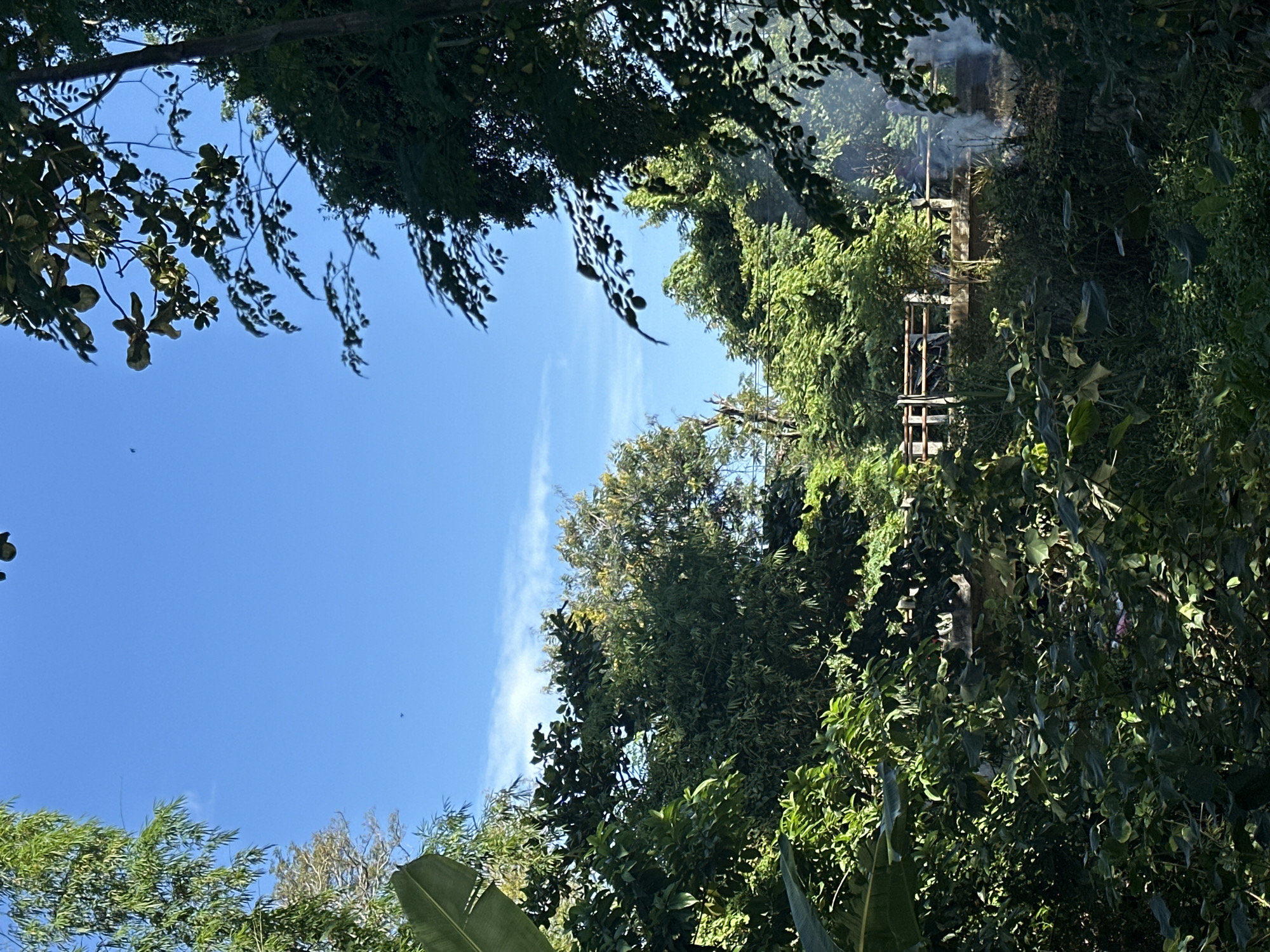 The image shows a view of the sky framed by dense green trees and foliage. In the distance, amidst the greenery, a wooden structure, possibly a building or scaffolding, is partially visible with smoke rising from it. The location is identified as Lhokseumawe, Indonesia.