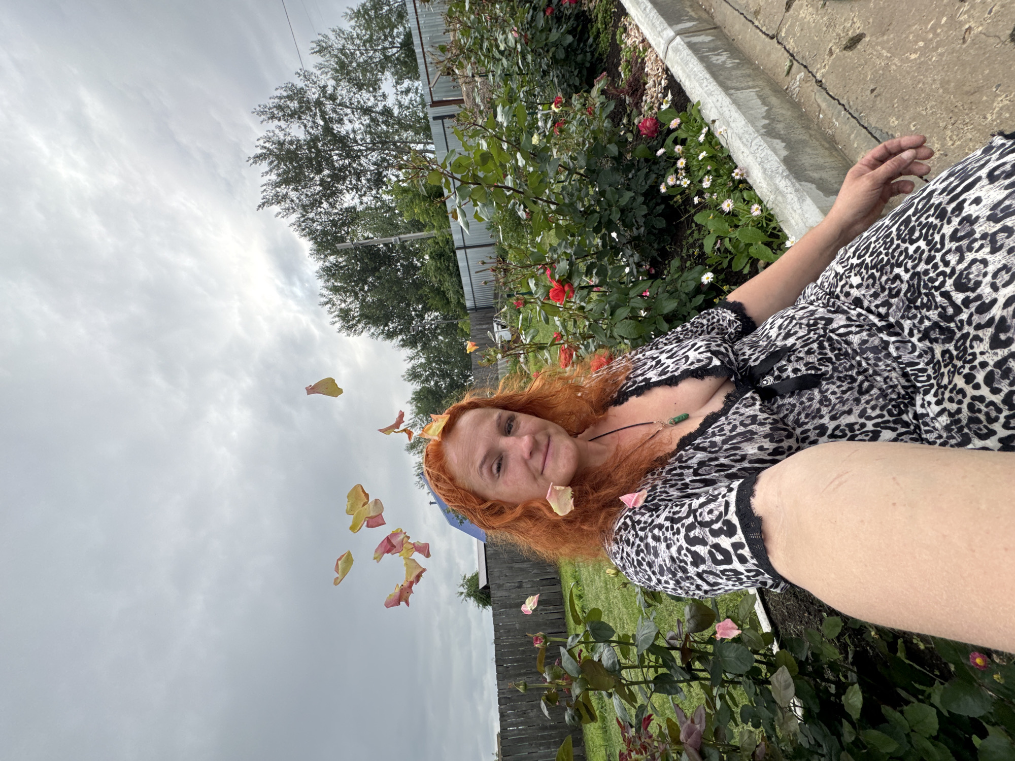 The image shows a woman with long, red hair, lying down outdoors in a garden. She is wearing a black and white leopard-print dress with lace trim. Rose petals are scattered around her and floating in the air, some of them landing on her hair and face. She is smiling at the camera, suggesting a happy or relaxed mood.
Behind her, there is a rose garden with various red and pink roses in bloom, as well as some small white flowers. A wooden fence and some trees are visible in the background, along with a cloudy sky. The scene appears to be set in the daytime, likely during the afternoon, given the lighting. There are no visible text elements in the image. The overall impression is one of a peaceful and picturesque moment in a garden.
