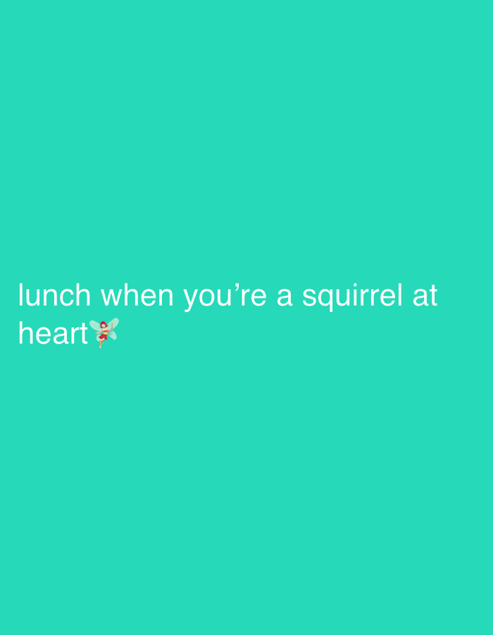 The image features white text on a solid, vibrant teal background. The text reads: "lunch when you're a squirrel at heart🧚♀️". A fairy emoji (🧚♀️) is positioned immediately after the word "heart". There are no discernible people, objects, or specific scenes apart from the text and the uniform background color. No activity is depicted. The image does not contain any visual cues related to time of day, weather, or location, despite the provided context of Tel-Aviv, Israel.