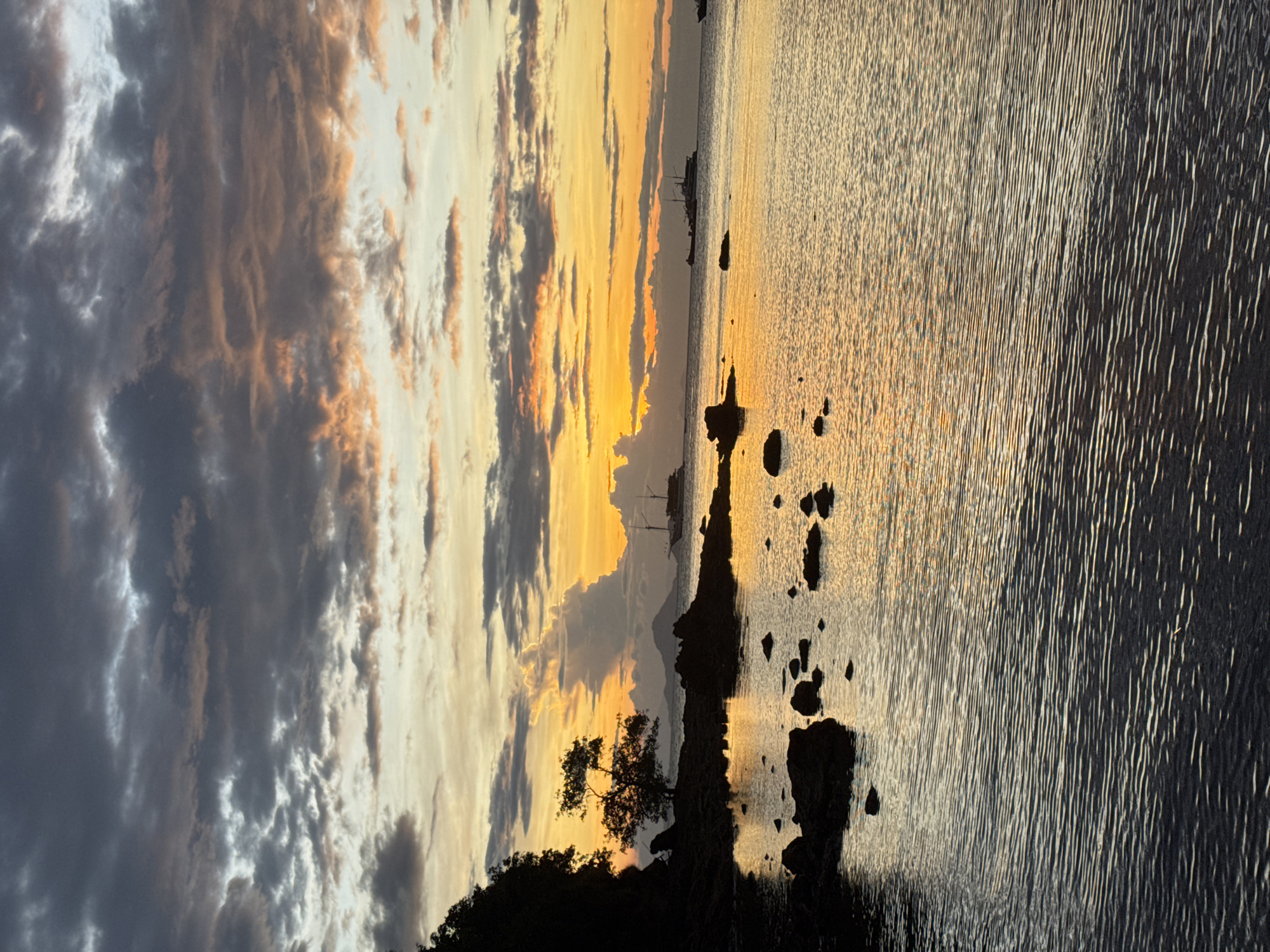 The image depicts a seascape at sunset. The sky is filled with clouds, ranging in color from dark grey to orange and yellow where the sun is setting. Below the sky is the ocean, with its surface reflecting the colors of the sunset. In the foreground, there is a rocky shoreline with some vegetation, including a small tree. The rocks and vegetation are silhouetted against the light from the sunset. In the distance, there appear to be boats or ships on the horizon.
The location is Unknown, Unknown.
