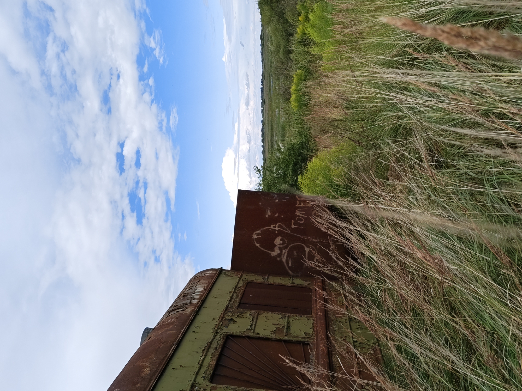 The image shows an abandoned, rusted train car in Bol'shaya Listovka, Russia, partially obscured by tall grasses and reeds. The train car, painted green, exhibits significant rust and peeling paint. One side of the car features two boarded-up windows with metal grating. A large, rusted metal sheet, graffiti-marked with a crude drawing of a face and Cyrillic lettering, stands open on the side of the car, revealing the interior is dark. The train car is situated in a marshy, overgrown area with a vast expanse of green vegetation, including yellow wildflowers, stretching towards a distant treeline. The sky above is a vibrant blue with scattered white clouds. The overall scene conveys a sense of decay and abandonment in a natural setting.