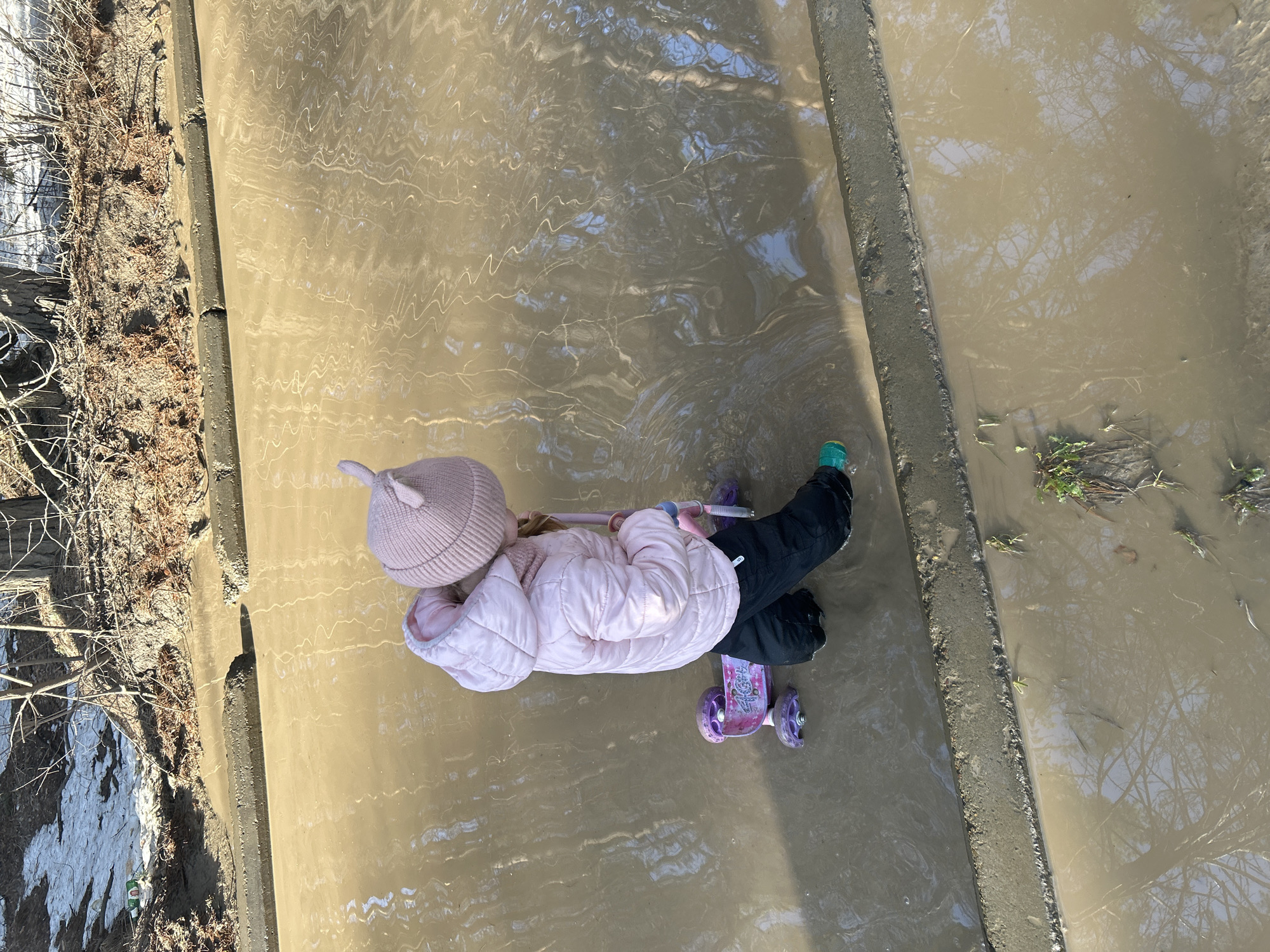 A young child wearing a pink hat and puffer jacket, and black pants, is positioned in the middle of a concrete drainage ditch filled with muddy water. The child is on a purple scooter. The ditch appears to be located outdoors. Vegetation is visible on either side of the ditch. The reflection of trees is visible in the muddy water. It is daytime. The location is Chaikovsky, Russia.