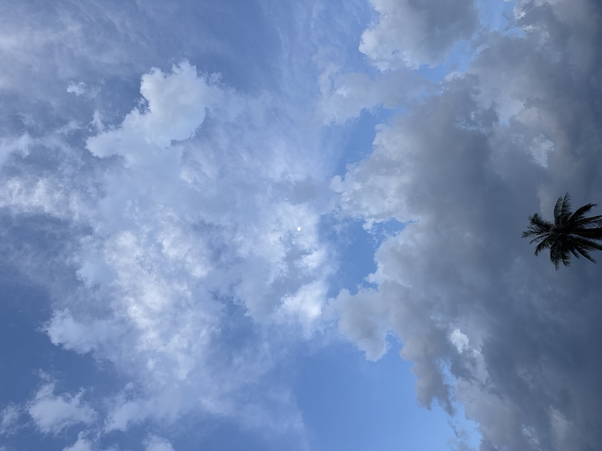 The image shows a daytime sky with a mix of cirrus and cumulus clouds. The sky is blue with patches of thin clouds and darker, more densely packed cumulus formations. A palm tree is visible in the top right corner. The sun, appearing as a small, bright white circle, is visible through a break in the clouds. Since no specific location details within Bac Nha Trang Ward, Vietnam are provided, this assessment is solely based on the image's content.