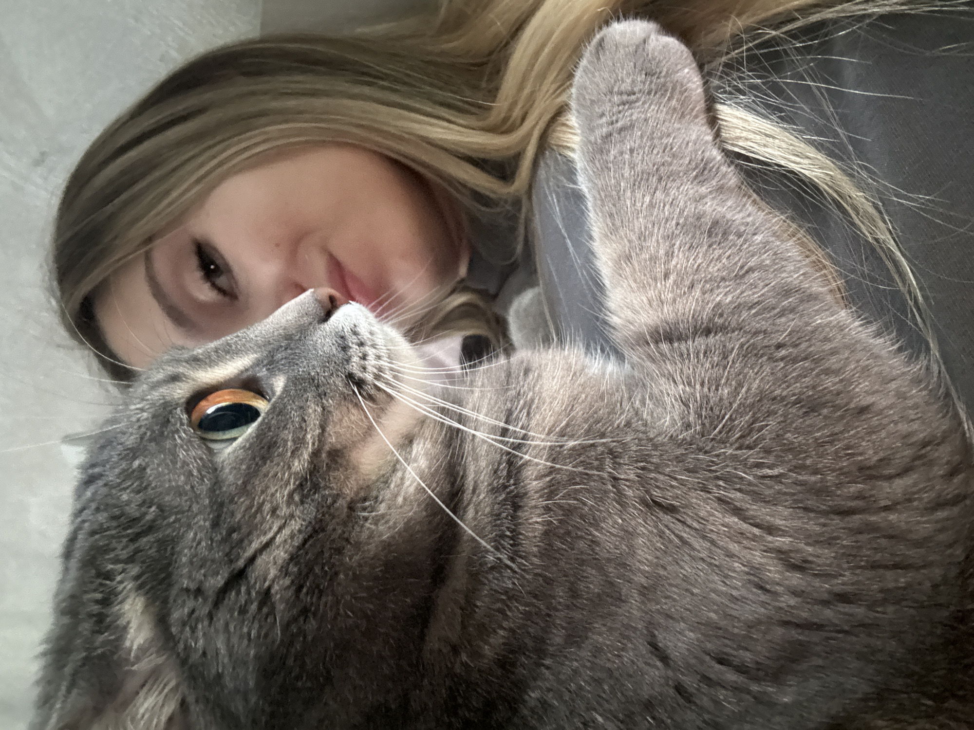 The image shows a close-up of a person and a cat. The person, with long blonde hair, is lying down, and their face is partially obscured by the cat. They appear to be looking at the cat. The cat, a grey tabby, is lying on its back, looking up towards the person. Its eyes are open, and its whiskers are prominent. The image is taken from a high angle, looking down at the subjects. The overall scene suggests an intimate moment between the person and their pet, likely at home. The lighting is soft and diffused, suggesting it could be daytime or an indoor setting with ambient light. There is no visible text in the image.