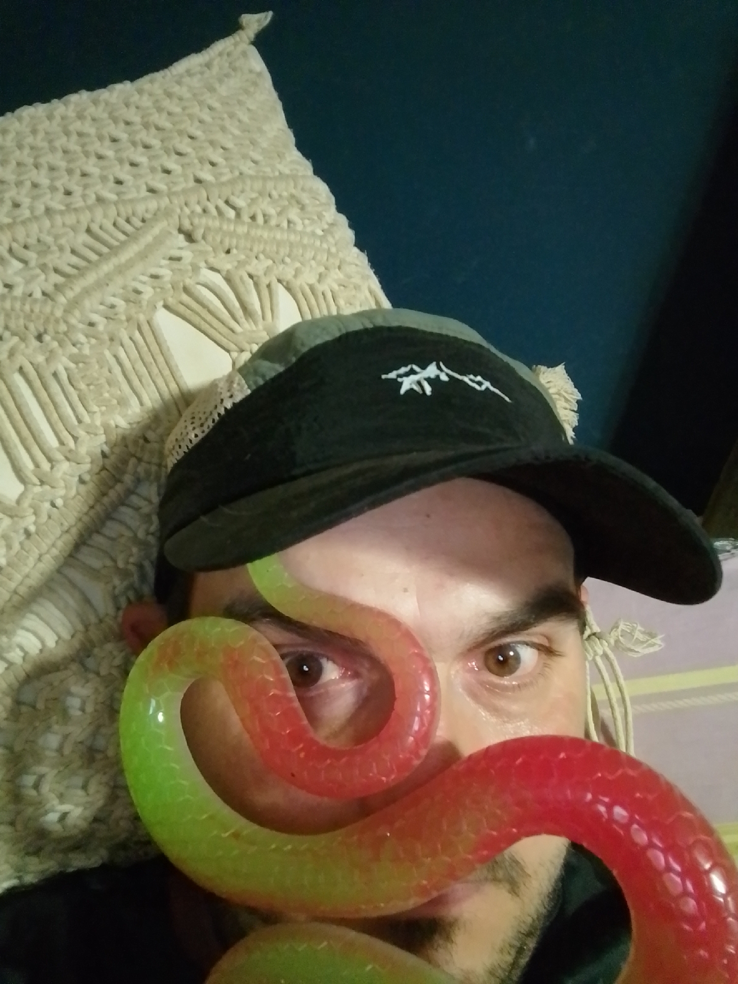 The image shows a close-up of a person's face, partially obscured by a coiled, translucent, segmented toy snake that transitions in color from red to green. The person is wearing a black baseball cap with a white embroidered design, possibly mountains, and a frayed fringe along the back. Their right eye is visible, with brown irises and noticeable eyelashes. The background includes a textured, cream-colored woven fabric, likely a pillow or blanket, and a dark blue wall. The person appears to be indoors, with soft lighting. The location in Wedel, Germany, is not discernible from the visual information provided in the image.