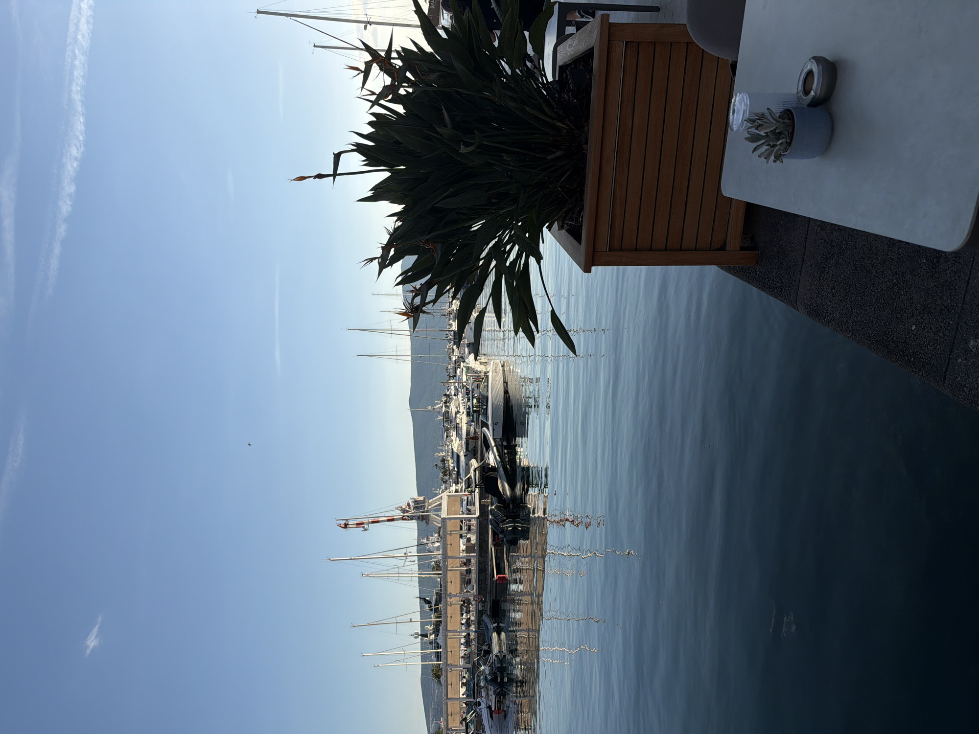 The image depicts a marina in Tivat, Montenegro, as seen from a waterfront cafe or restaurant. The water is calm and reflects the docked boats and their masts. A wooden planter box filled with Strelitzia reginae (bird of paradise) stands next to a table with a small potted succulent, ashtray, and possibly a drink. The sky is blue with contrails. There are no people visible in the immediate foreground. The scene suggests a peaceful, sunny day at the marina.