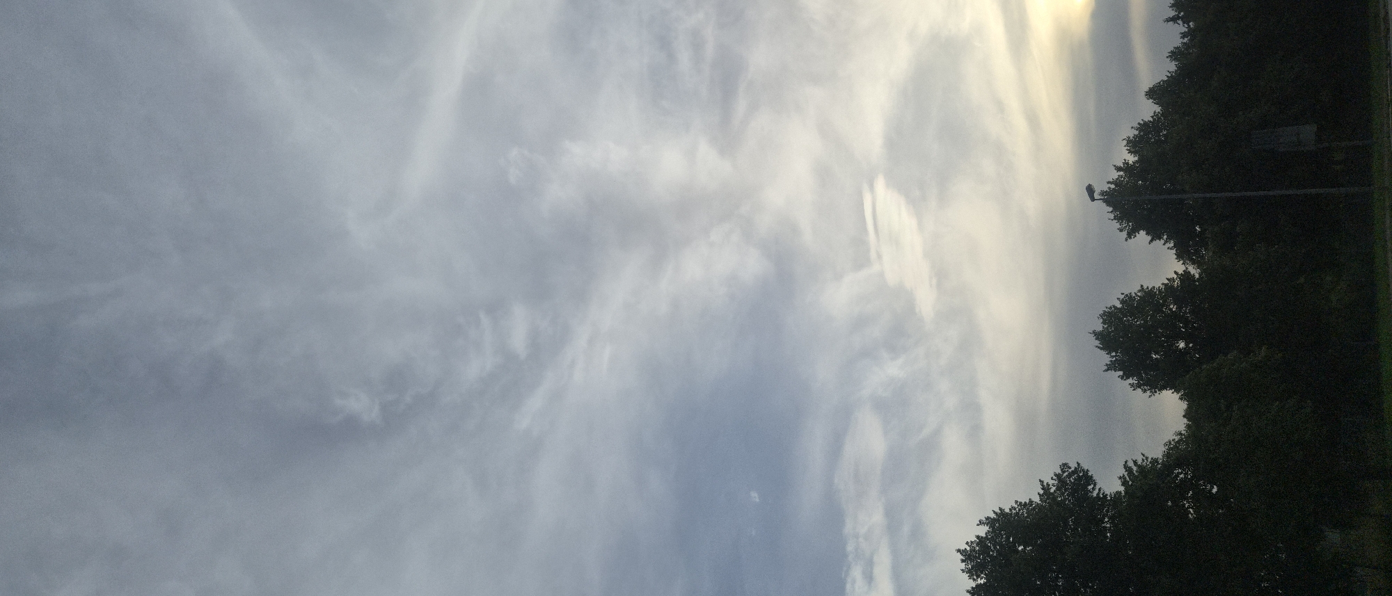 The image captures a vertical view of a partly cloudy sky with wispy cirrus clouds and some lower, more diffused cloud cover. The sky transitions from a cooler blue-gray at the top to warmer tones of yellow and white near the horizon. Silhouetted against the sky at the bottom of the frame is a dense line of dark green trees, suggesting a forested or park-like area. A single street lamp stands prominently on the right side of the frame, piercing the tree line and reaching into the sky. The overall lighting suggests it is either dawn or dusk. Without specific landmarks or identifying features within the image, it is impossible to determine the exact location within Chemnitz, Germany.