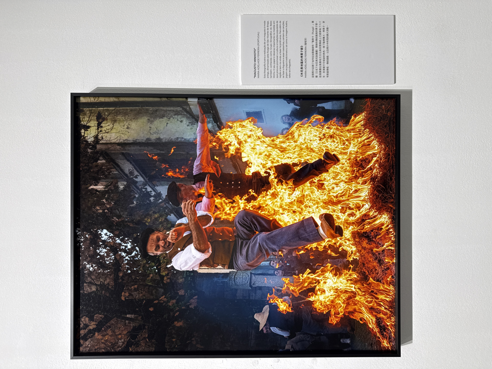 A framed photograph titled "Magusto Minhoto" by Maria Adelaide Ferreira, is hanging on a white wall. The photograph depicts two men in traditional clothing seemingly leaping over a large bonfire. Flames engulf the space between them and spread across the foreground, obscuring onlookers below. One man is wearing a vest and a hat, his mouth open in a shout or song. Another man is in mid-air behind him, his arms raised. In the background, there are trees and an indistinct building. Adjacent to the framed photograph is a white label with text in Portuguese and Chinese.