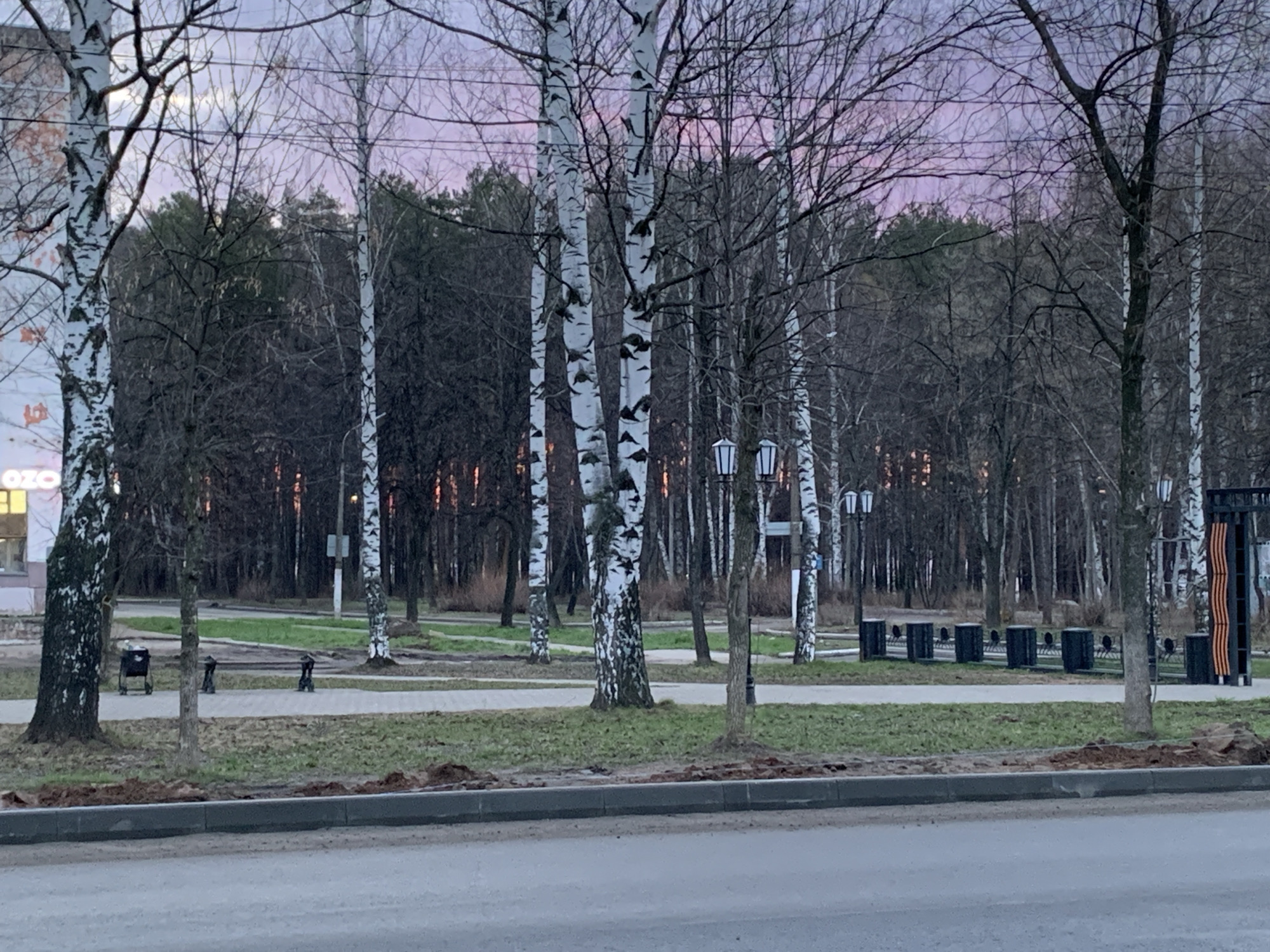 The image shows a street scene in Chaikovsky, Russia. A gray asphalt road is in the foreground, followed by a low gray curb. Beyond the curb is a grassy strip with exposed dirt patches, and then a sidewalk.
Behind the sidewalk is a park-like area with numerous birch trees and other deciduous trees with bare branches. The birch trees are easily identifiable by their white bark with black markings. There are also some evergreen trees in the background, forming a denser tree line. Several black trash cans are placed along a pathway in the park. There are also some decorative light posts.
The sky is a mix of pale blue, gray, and pink hues, suggesting either sunrise or sunset. The lighting is soft and muted.
A building is partially visible on the left edge of the frame. The overall impression is of a quiet, possibly cold, urban environment.
