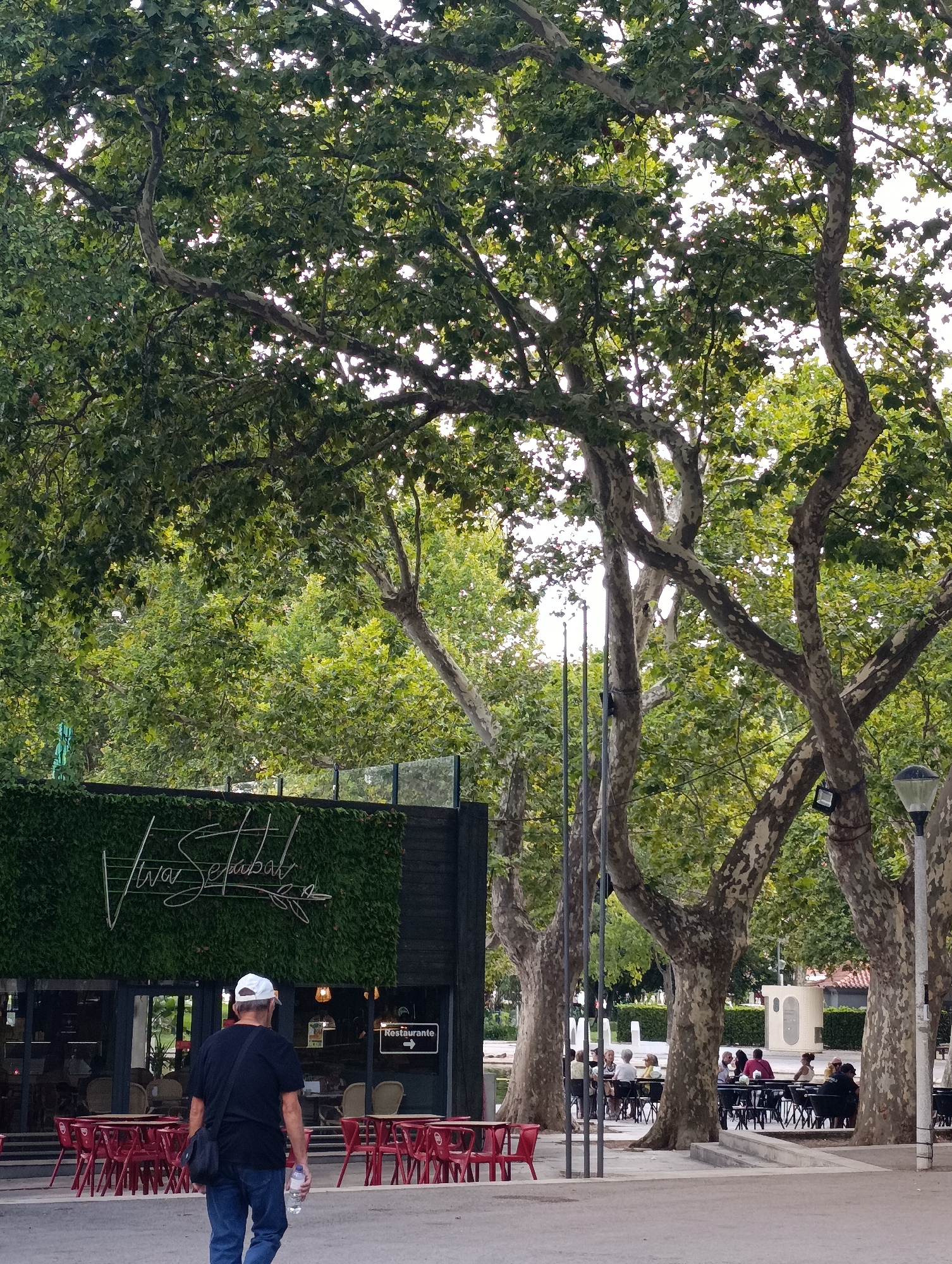The image depicts a street scene in Setúbal, Portugal, under a canopy of large plane trees. In the foreground, a man wearing a white cap, black t-shirt, and blue jeans walks away from the camera, holding a plastic water bottle. He has a black bag slung across his body. Behind him is a building with a facade covered in green ivy, illuminated by a neon sign that reads "Viva Setúbal" in a cursive font. The building has large glass windows and doors, with outdoor seating consisting of red chairs and tables set up on a paved area. To the right of the building, a sign points towards "Restaurante". Further back, several people are seated at tables under the shade of the trees, suggesting an outdoor dining area or cafe. The environment is lush and green, with the large trees dominating the upper portion of the image. The overall atmosphere appears to be leisurely, possibly in the late afternoon or early evening.