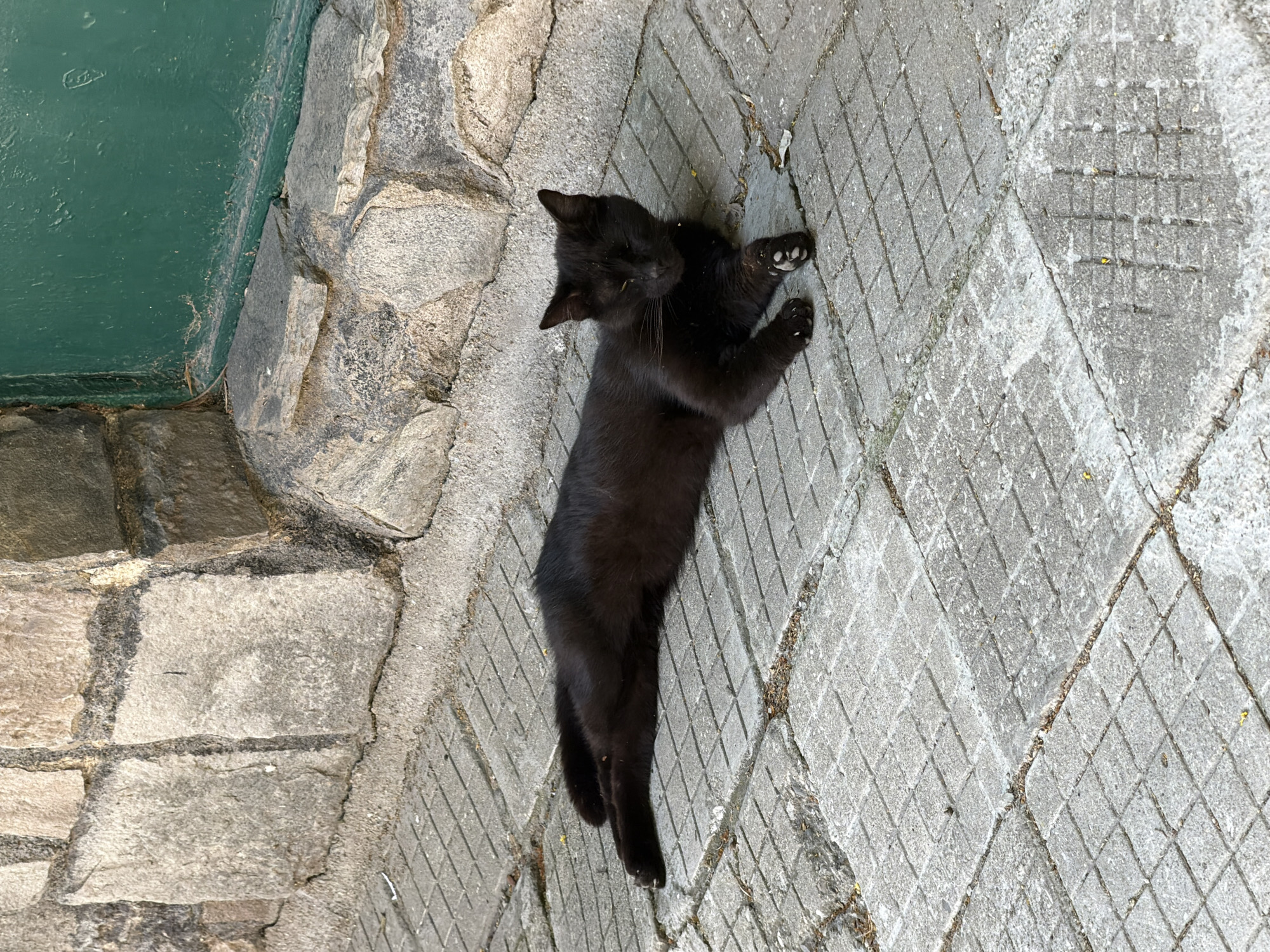 A black cat is lying on a paved sidewalk in front of a stone wall and a green door. The cat is stretched out on its side, with its paws extended. Its eyes are partially closed, and it appears to be resting. The stone wall is made of rough, irregular stones, and the sidewalk is paved with square concrete tiles. The green door is a solid color and appears to be made of metal. The scene is outdoors, with natural lighting. The location is Pazardzhik, Bulgaria.