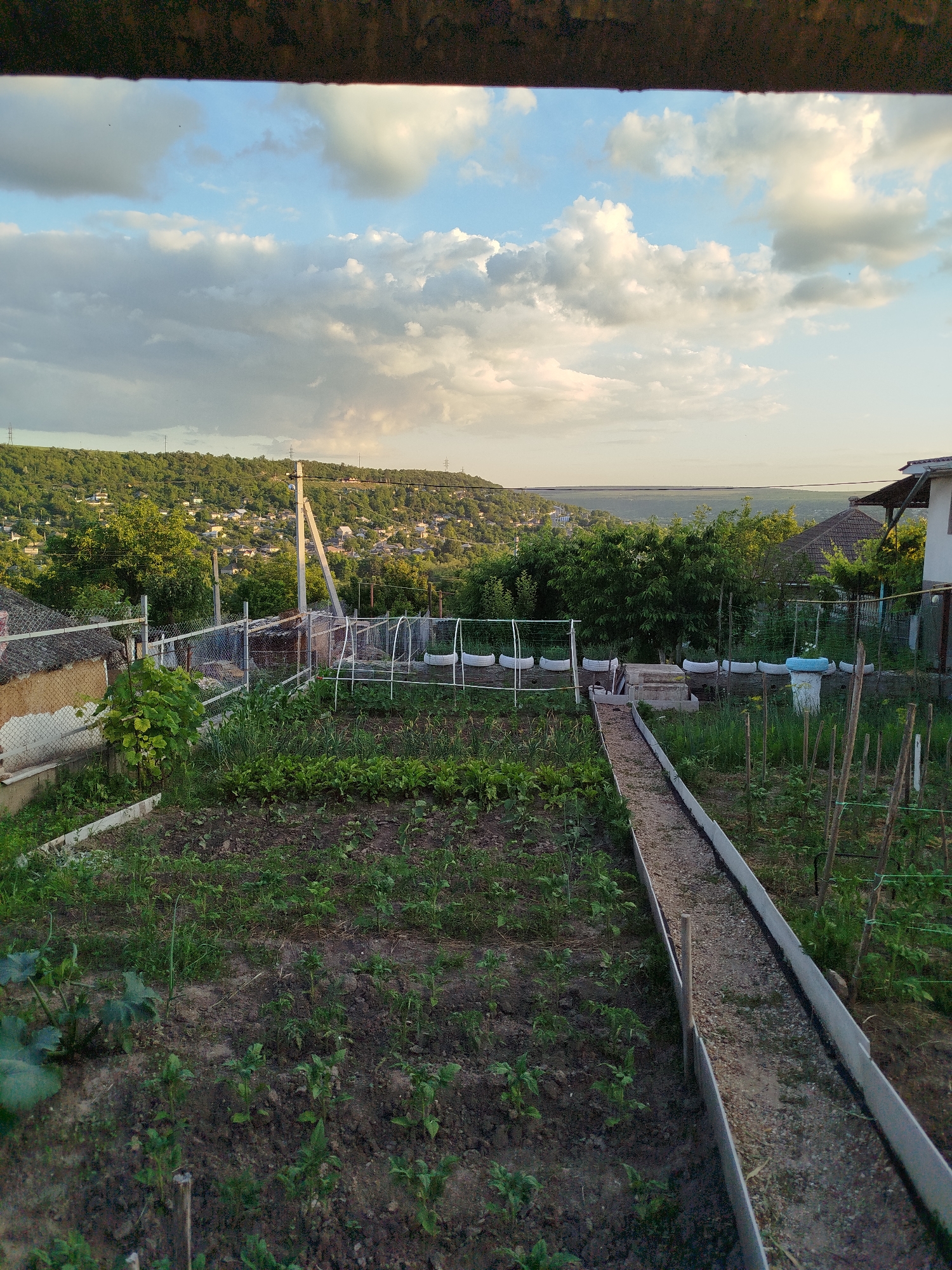 An outdoor, medium shot captures a view of a garden and the surrounding landscape during the day. The foreground features a well-tended garden with rows of young plants and a gravel path. Beyond the garden, a fence encloses the property. In the midground, a residential area with houses and trees is visible, with a hazy, distant landscape stretching towards the horizon under a cloudy sky. The lighting suggests it is late afternoon or early evening.