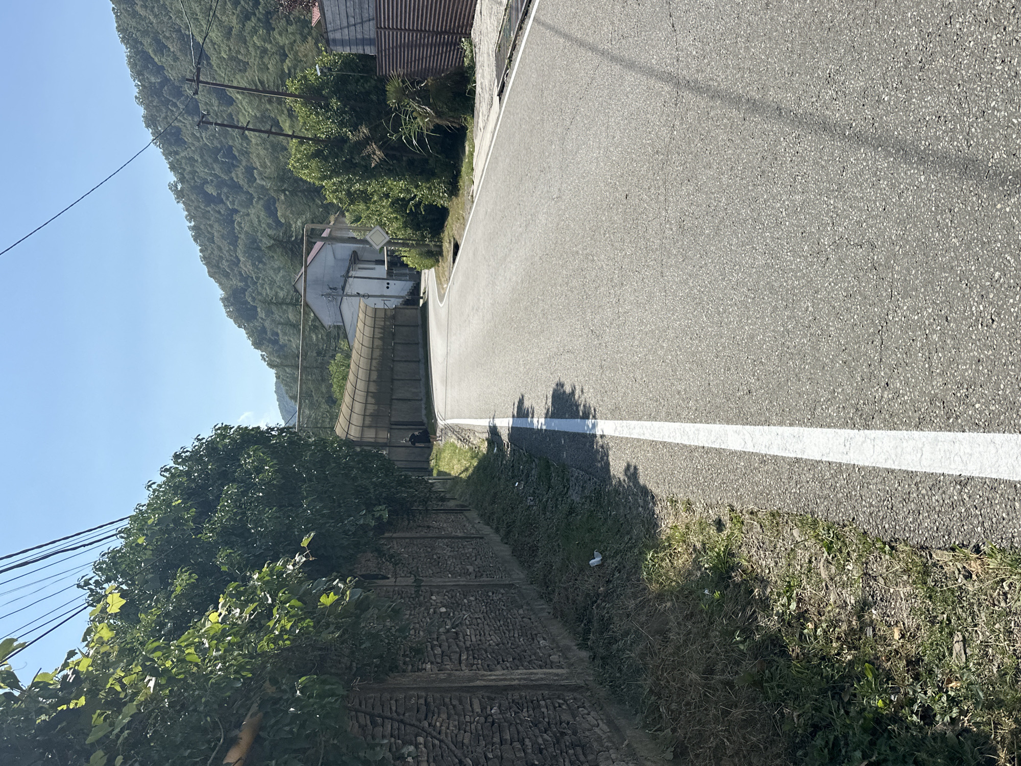 A paved road curves to the left, bordered on the left by a stone and concrete fence covered in dense green foliage. Beyond the fence, overhead power lines stretch across a clear blue sky. A person in dark clothing is walking on the right side of the road, in the distance. To the right of the road, there are buildings, including a white structure with a red roof and a greenhouse-like structure. The background consists of a heavily wooded, green hillside under a bright sky. The overall scene appears to be in a residential or semi-rural area in Sochi, Russia, possibly near the coast or in a valley. The road has a white line marking its edge.