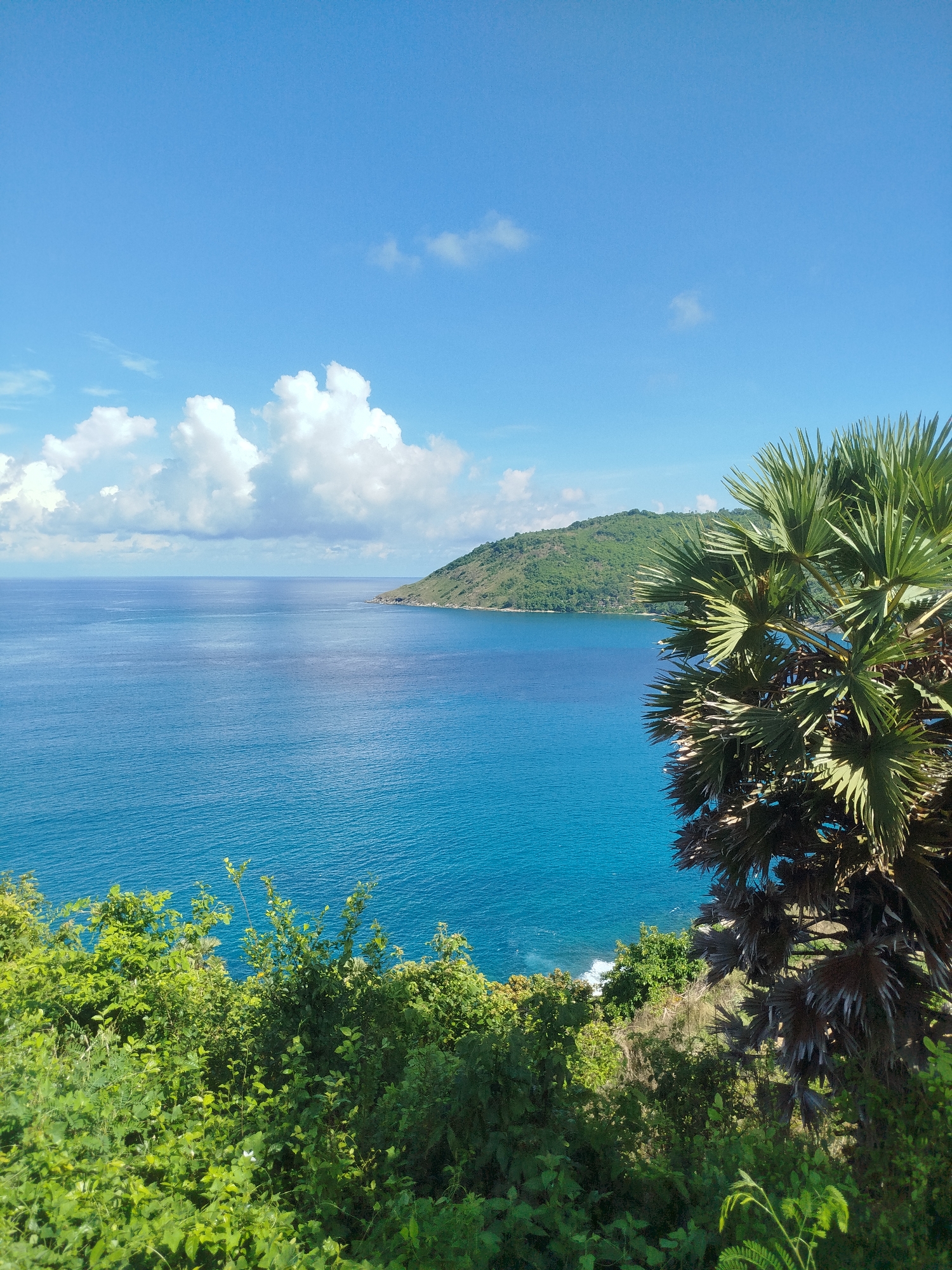 This is a photograph of a scenic coastal view in Rawai, Thailand. The image is dominated by a vast expanse of turquoise ocean under a bright blue sky dotted with white, puffy clouds. In the foreground, lush green vegetation and the fronds of a palm tree frame the view. A verdant, tree-covered headland juts out into the ocean on the right side of the frame, disappearing into the distance. The water is calm with gentle ripples. The overall impression is one of tropical natural beauty and serenity.