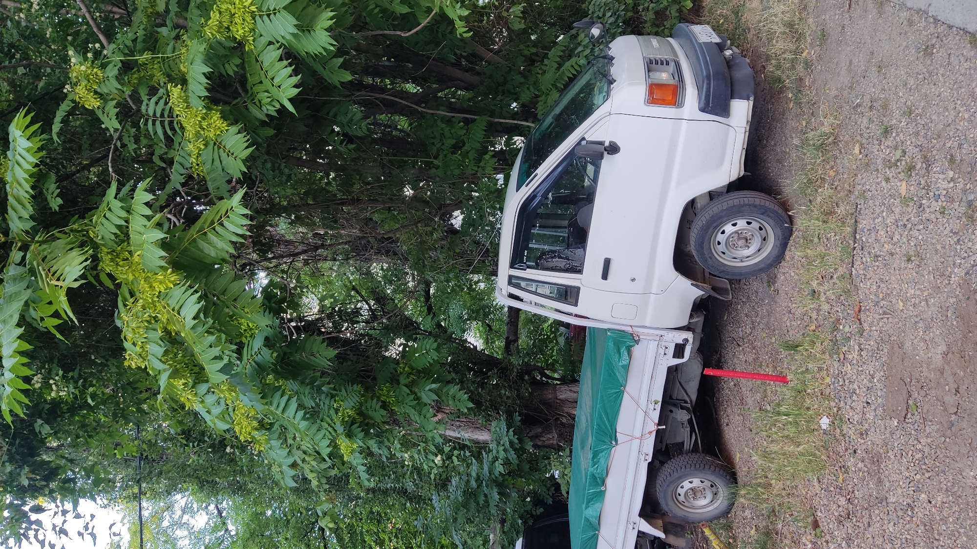 A white Toyota Town Ace utility truck is parked on a gravel and dirt surface in an urban environment. The truck has a green tarp covering its cargo bed. The vehicle is positioned next to a large tree with green foliage and some yellow seed pods. In the background, there are other trees and some buildings. The overall scene suggests a possibly overcast day, given the lighting.