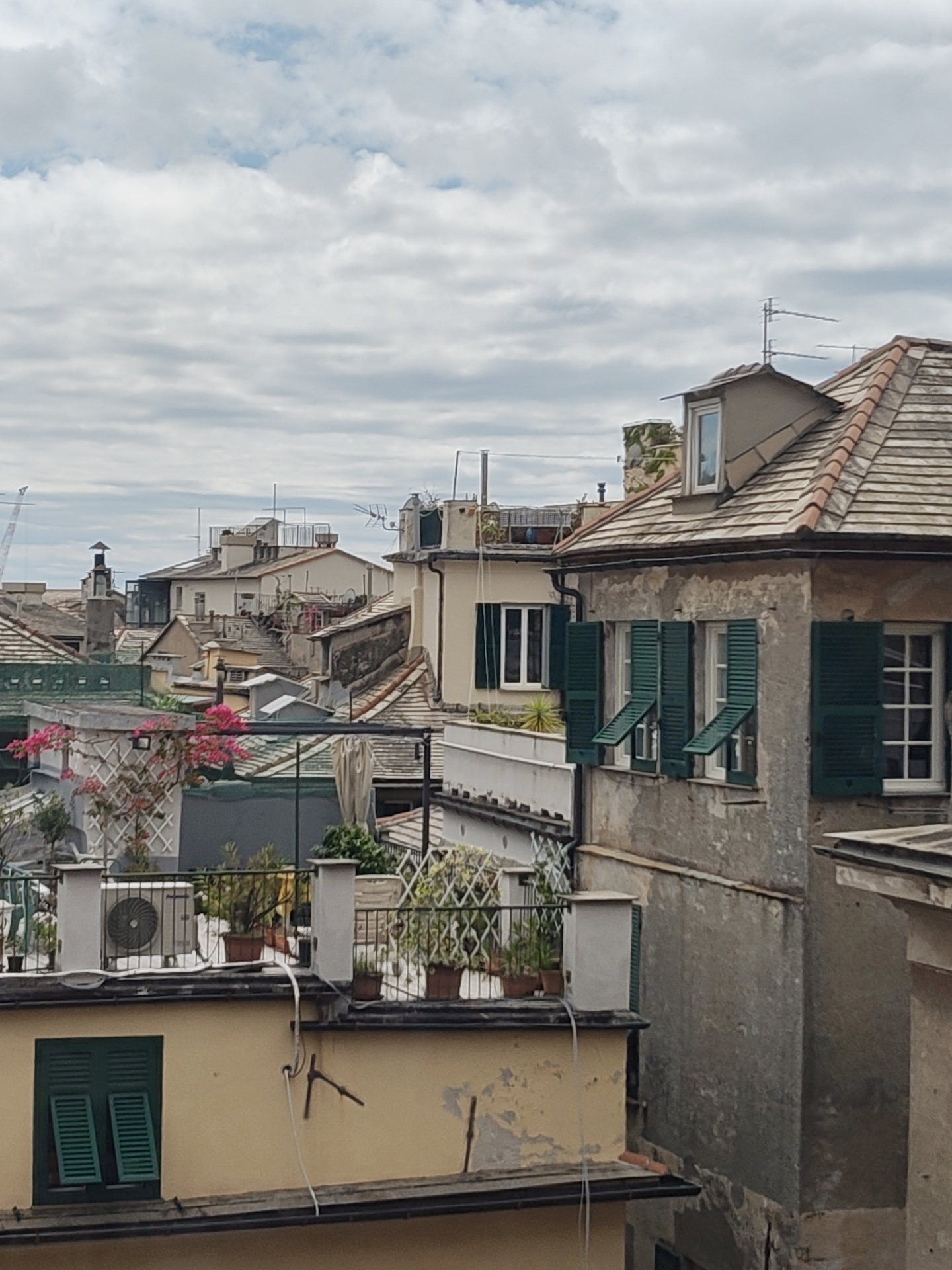 The image captures a scene in Genoa, Italy, showcasing the dense urban landscape characterized by closely packed buildings with varied heights and architectural styles. The structures are adorned with terracotta tile roofs, some appearing weathered and aged.
Many buildings feature green shutters on windows, some partially open. Rooftop terraces are visible, displaying potted plants and flowers, adding a touch of greenery to the urban environment. The sky is overcast with a layer of clouds. An air conditioning unit is installed on one of the terraces. A television antenna can be seen on the roof of the tallest building, which has a dormer window. The buildings display various stages of disrepair, with some walls showing signs of peeling paint and discoloration. A construction crane is visible on the horizon, hinting at ongoing development in the city.