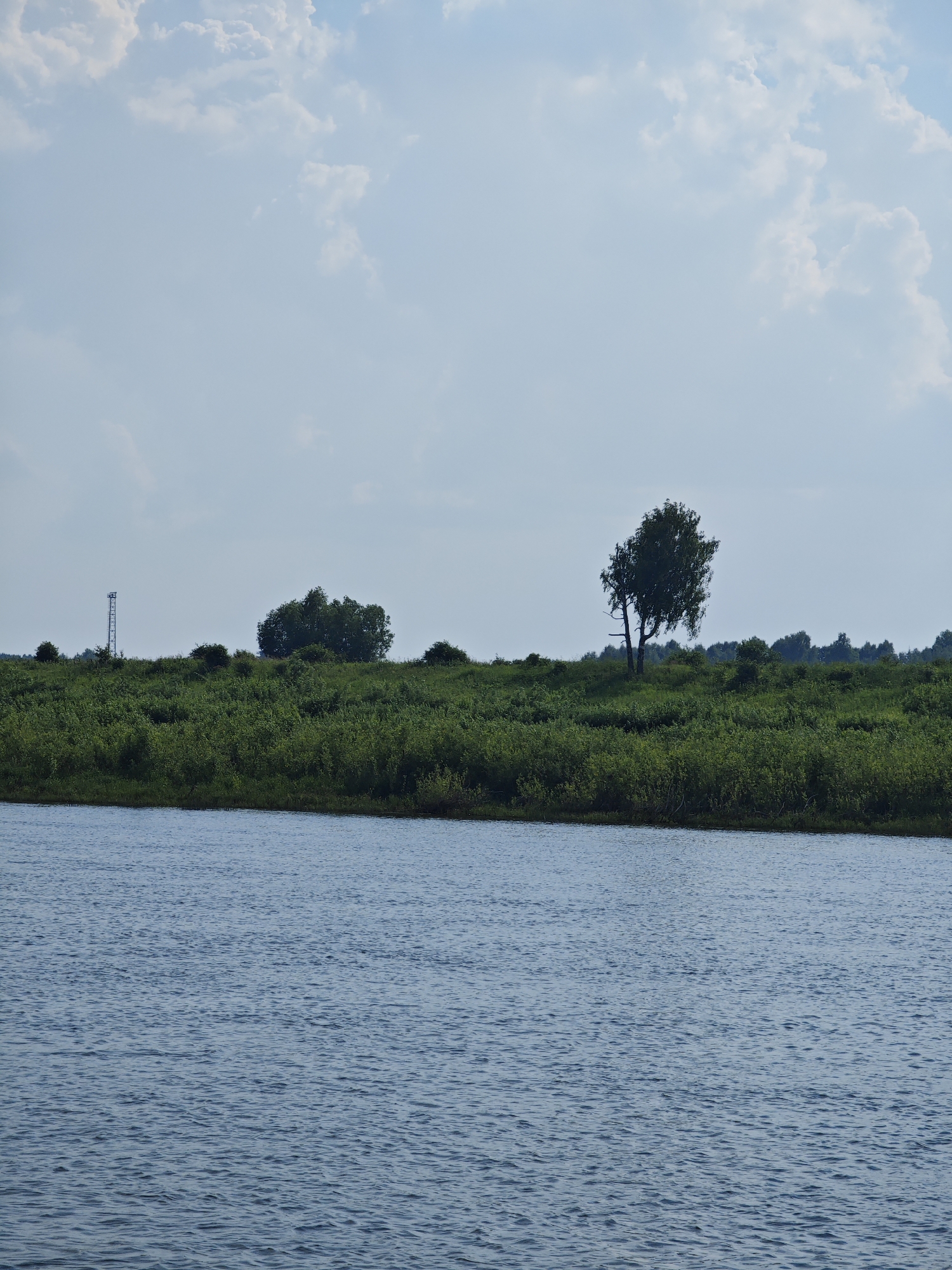 The image depicts a wide, rippling body of blue water in the foreground, likely a river or lake. The water's surface is textured with small waves and reflections. In the background, a dense line of green vegetation forms a verdant embankment. Scattered within this greenery are several trees. On the left side of the embankment, a tall, slender metal tower with a lattice structure stands out against the sky. A single, larger tree with a distinct canopy is situated towards the right of the embankment. The sky above is a pale blue, punctuated by fluffy white clouds. The scene appears to be a natural landscape, possibly bordering a town or rural area, and is set in Verkhnepashino, Russia.