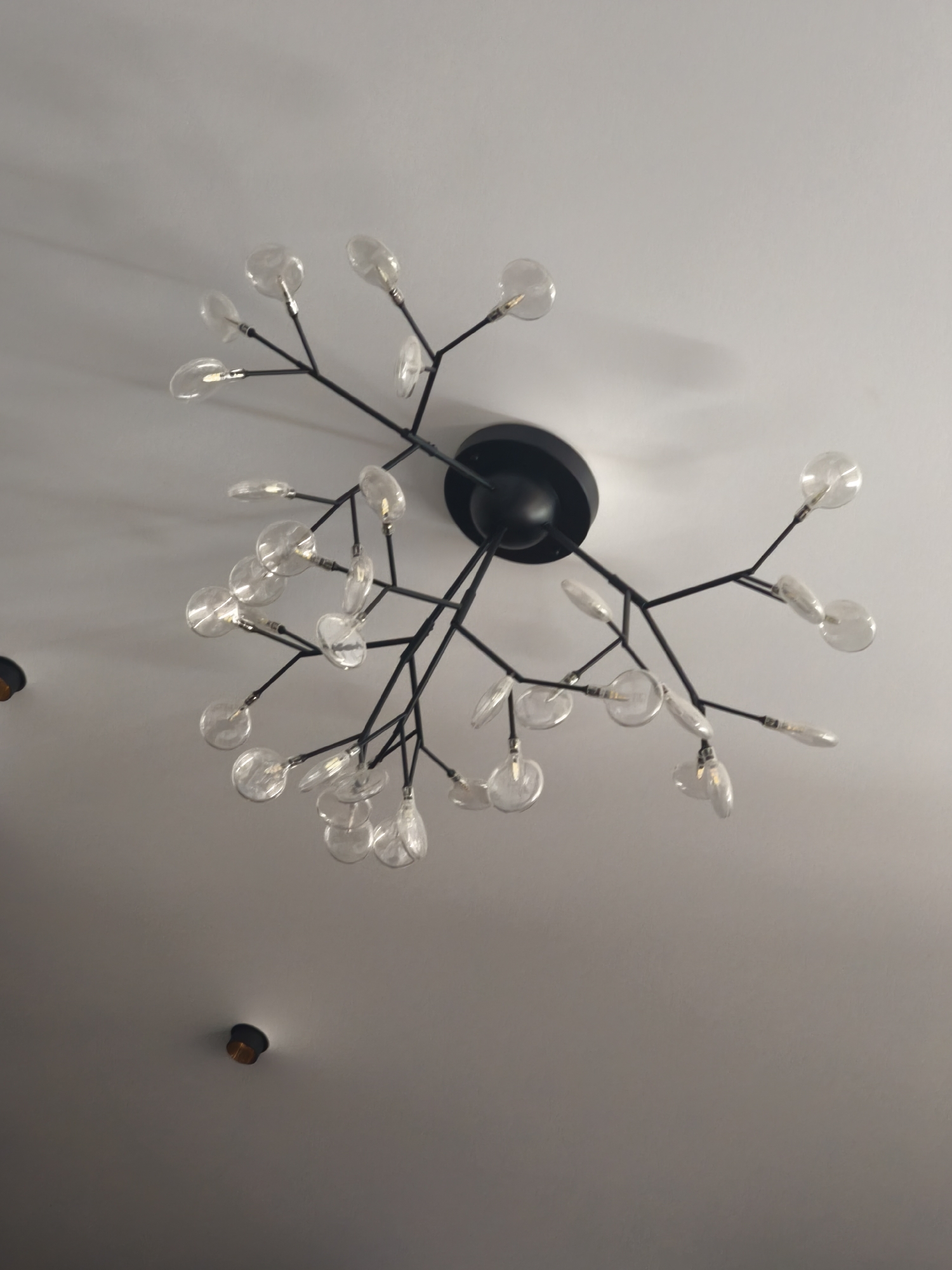 A contemporary chandelier is mounted on a white ceiling. The chandelier has a black central hub with black branches extending outwards, each terminating in a clear glass bulb or shade. Two recessed ceiling lights are visible in the periphery. The location and city of Moscow, Russia are not discernible from the image.