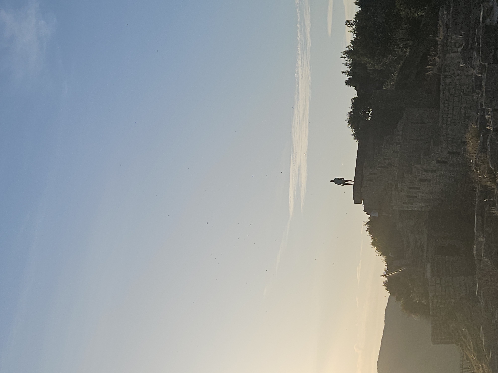 The image depicts a vast, expansive landscape dominated by an open sky, captured during either sunrise or sunset. The sky transitions from a soft, light golden-blue near the horizon to a deeper, clear blue overhead, with a long, wispy cloud horizontally dissecting the middle section. Numerous tiny dark specks, likely birds, are scattered across the sky.
In the mid-ground, on the right side of the frame, a lone human figure stands silhouetted atop a rugged, ancient-looking stone structure. The figure appears to be observing the panorama. This structure, possibly a ruin, castle wall, or fortification, is covered in parts by dark green trees and foliage, and its weathered stone textures are visible in areas. Below and behind this structure, the indistinct outlines of distant mountains or hills recede into the soft light of the horizon. The overall lighting creates a dramatic silhouette effect, emphasizing the shapes of the person and the architecture against the bright sky.
There is no visible text in the image. The scene evokes a sense of solitude, contemplation, and the grandeur of nature and history, likely at a historical or scenic overlook.