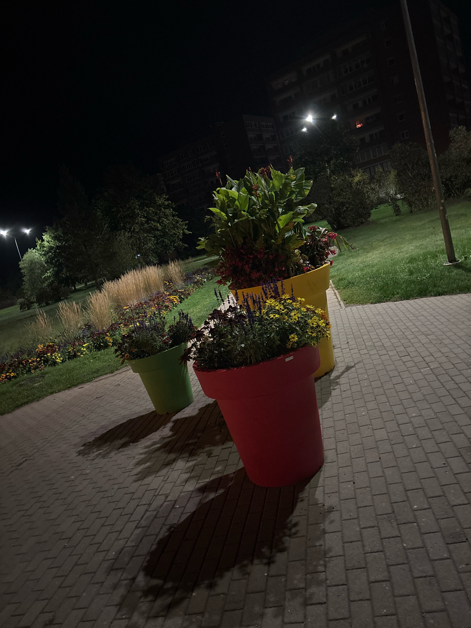 At night, on a paved walkway in Daugavpils, Latvia, three large, brightly colored planters are arranged. The planters are red, yellow, and green, and they are filled with various plants and flowers. The red planter is closest to the viewer and is filled with dark green foliage and purple flowers. The yellow planter is behind the red one and contains tall green plants with red flowers. The green planter is to the left and contains smaller green plants. Behind the planters, a grassy area with flower beds and tall grasses can be seen. In the background, a multi-story building with illuminated windows and trees are visible. The scene is lit by artificial light sources, creating shadows on the walkway.