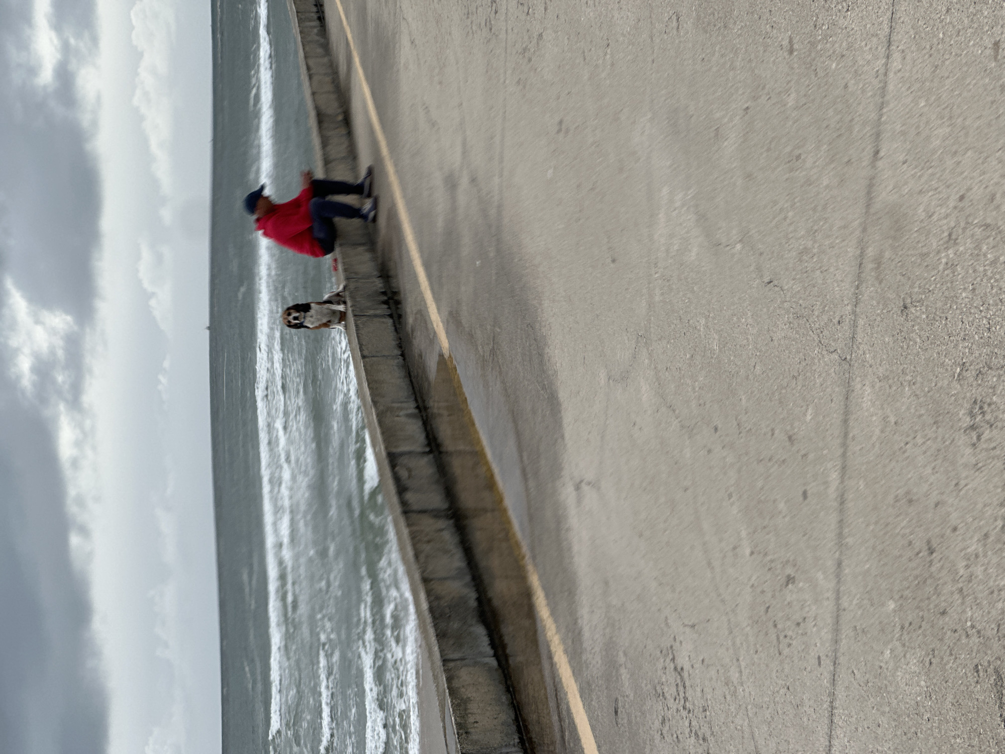 A blurred photograph taken at an angle shows a person and a dog sitting on a sea wall in Gafanha da Nazaré, Portugal. The person, wearing a red jacket and blue cap, is seated with legs dangling over the edge. Next to the person stands a small, tri-colored dog. The ocean and a cloudy sky are in the background, while the foreground is filled with the concrete walkway. A yellow line marks the edge of the walkway. The image appears to be taken during the daytime.