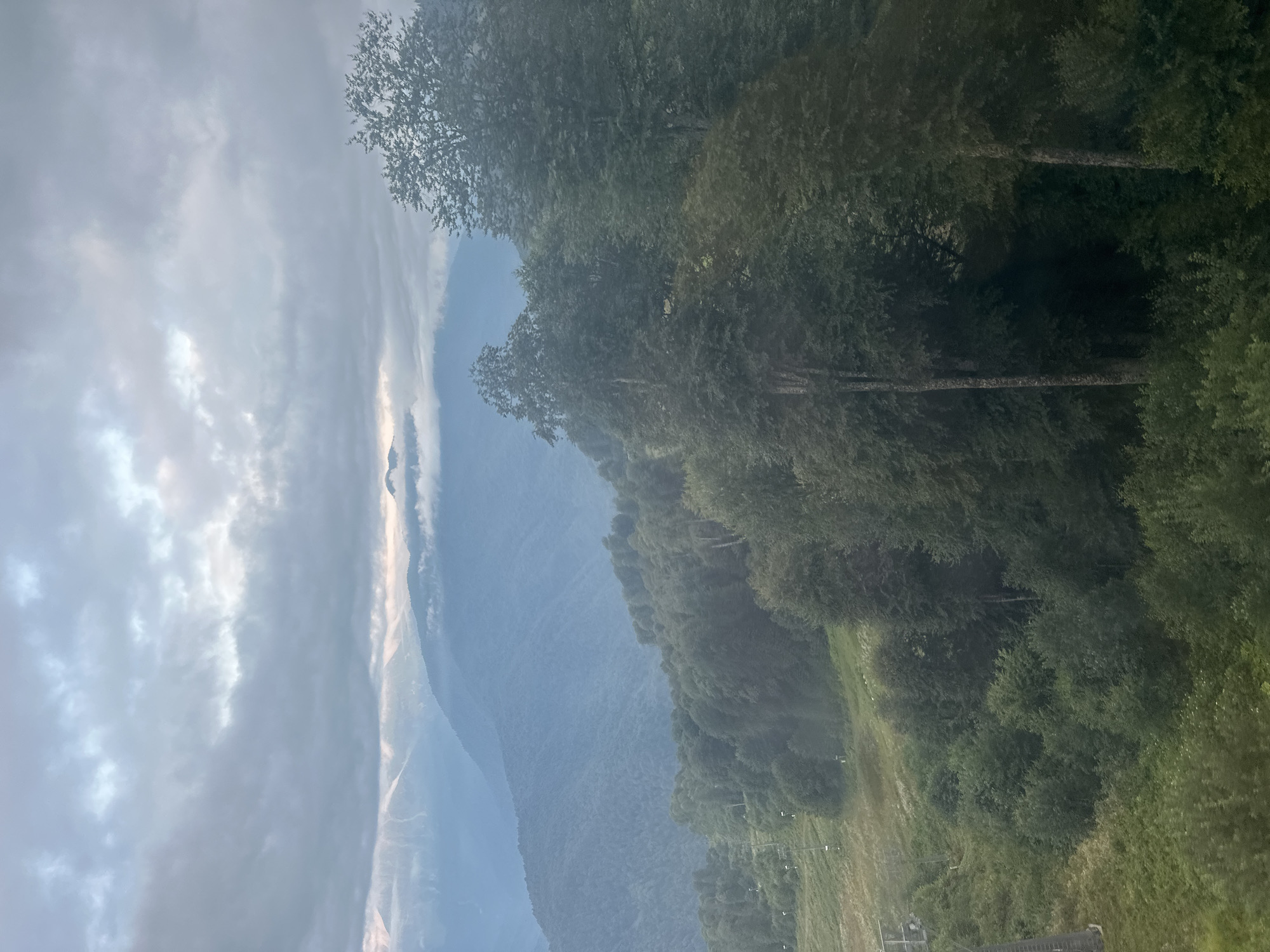 The image captures a panoramic view of a mountainous landscape under a cloudy sky, likely taken in Estosadok, Russia. In the foreground, lush green trees dominate the scene, with some taller trees standing out. A grassy slope with some vegetation is visible to the left, with what appears to be a ski lift tower. In the midground, a dense forest covers the slopes of rolling hills. Further in the background, layers of misty mountains recede into the distance, their peaks partially obscured by clouds. The sky is overcast with soft, diffused light, creating a muted color palette. There are no people or animals visible in the image. The overall impression is one of a serene, natural environment.