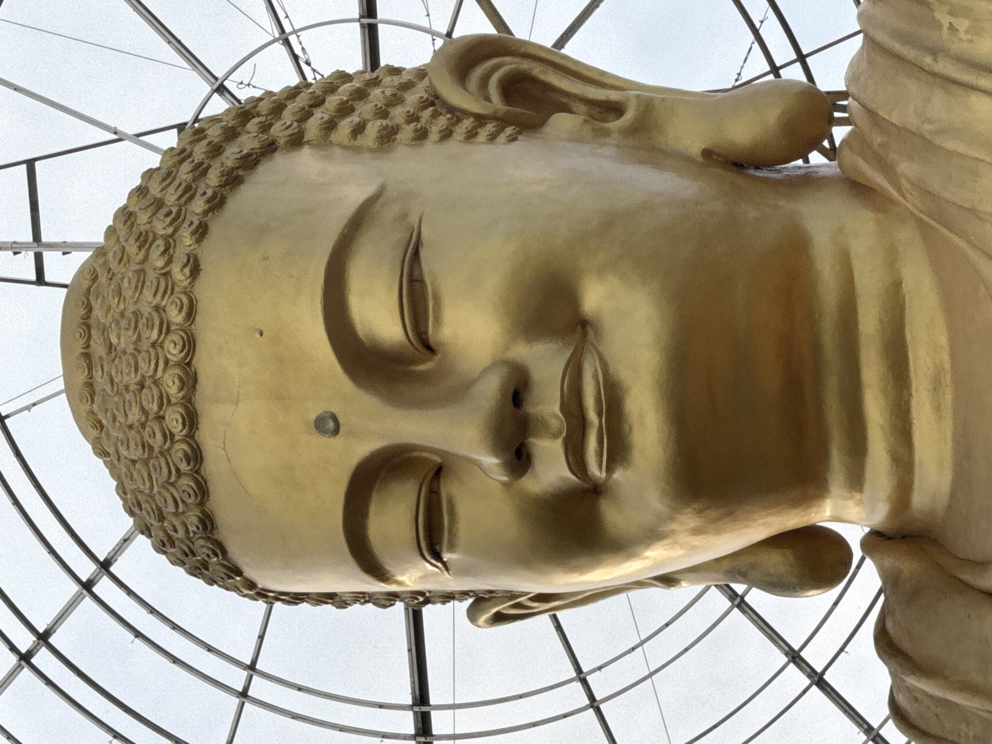 This is a close-up, low-angle shot of a large, golden Buddha statue's head. The statue is immense, with detailed, curly hair on the top of its head, and serene facial features. The eyes are closed in meditation, and the lips are slightly parted. A small, dark circular marking is visible on the forehead, between the eyes. The statue is partially enclosed by a metallic, geodesic dome-like structure, suggesting it is an outdoor installation or part of a larger architectural design. The sky above is overcast, indicating a cloudy day, possibly morning or late afternoon. The overall impression is one of tranquility and reverence. The context of Lâm Viên - Đà Lạt, Vietnam, implies this is likely the Big Buddha statue located there. There is no visible text in the image.