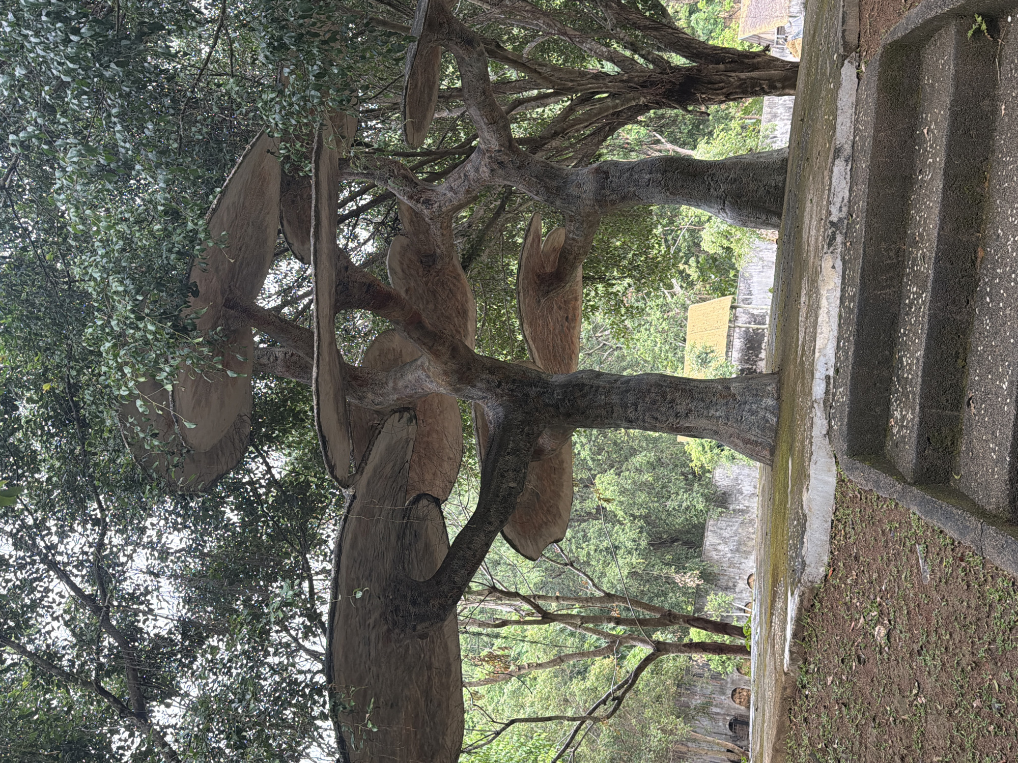 The image shows a sculpture located in Khánh Vĩnh, Vietnam. The sculpture consists of two tree-like structures with large, flat, disc-shaped elements attached to their branches, resembling oversized leaves or possibly stylized fruit. The trees are made of a gray material that could be concrete or a similar substance. Surrounding the sculpture are trees and foliage that appear to be part of a park or outdoor setting. Adjacent to the sculpture is a gray concrete structure with steps. The background includes more greenery and glimpses of what appear to be buildings or other structures in the distance. The scene has a muted color palette with shades of green, gray, and brown. The lighting suggests an overcast day. There are some people visible in the distance.