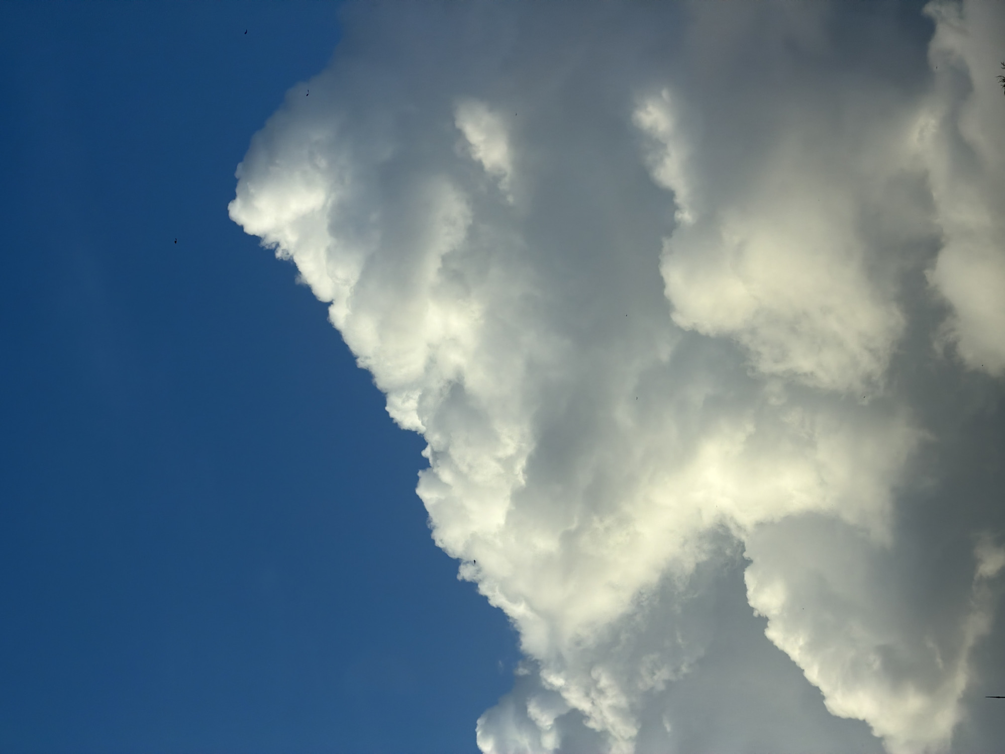 A large, puffy, white cloud formation occupies the right side of the frame, contrasting with the deep blue sky on the left. The scene is in North Kuta, Indonesia. Several small, dark objects are visible in the sky near the cloud's edge.