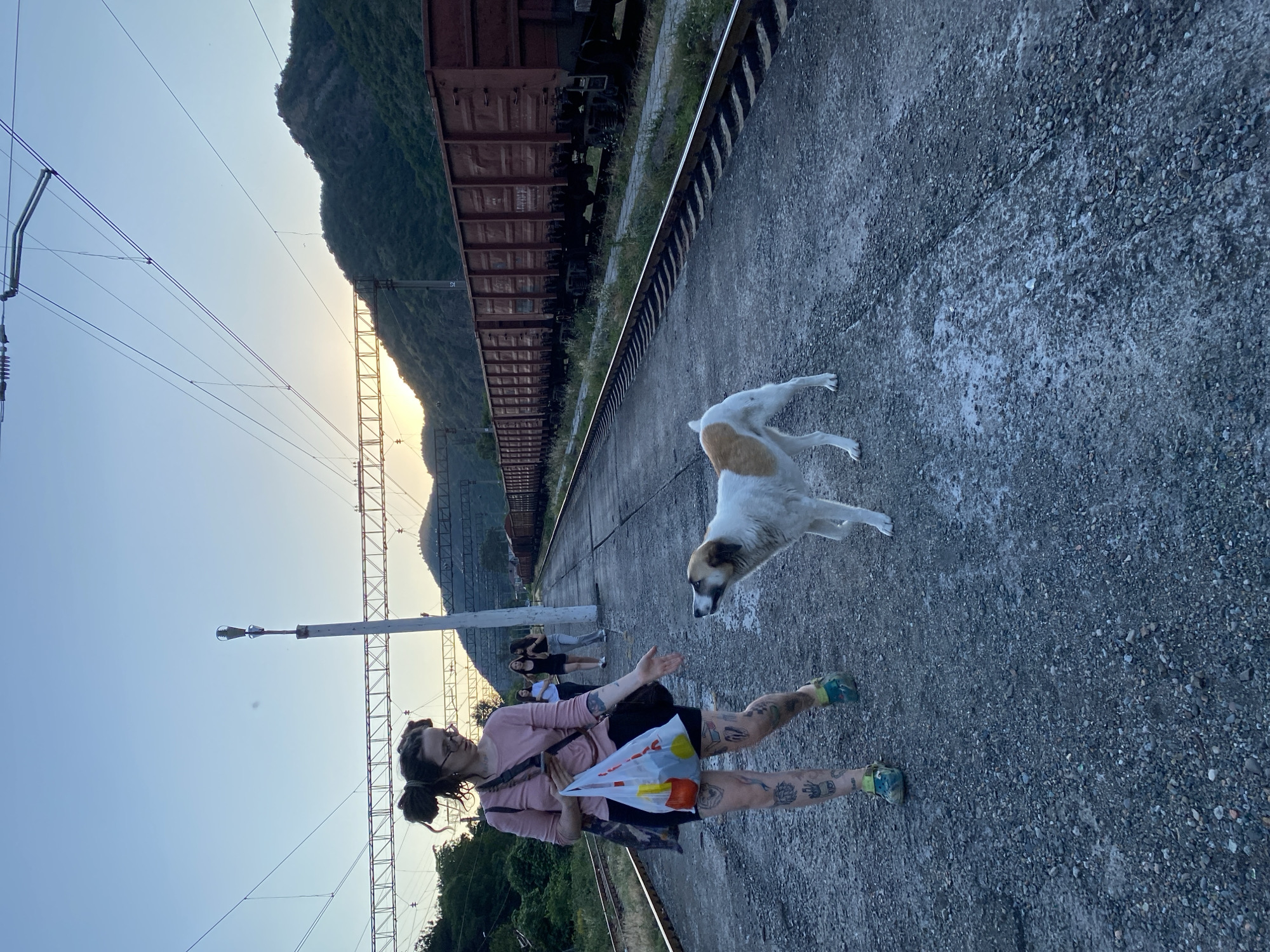 A woman with dreadlocks, glasses, and tattoos on her legs stands on a train platform, holding a white plastic bag. She wears a pink long-sleeved shirt and black shorts. A medium-sized dog with white and brown fur stands nearby, facing the woman. In the background, a train is parked on the tracks, and a steep, vegetated mountain rises behind it. Overhead power lines and a light pole are visible. Several other people are standing further down the platform. The sun is setting, casting a warm glow on the mountain and creating long shadows, indicating it is late afternoon or early evening. The scene appears to be a train station in a mountainous area, with Mtskheta, Georgia, providing geographical context. There are no visible text elements in the image.