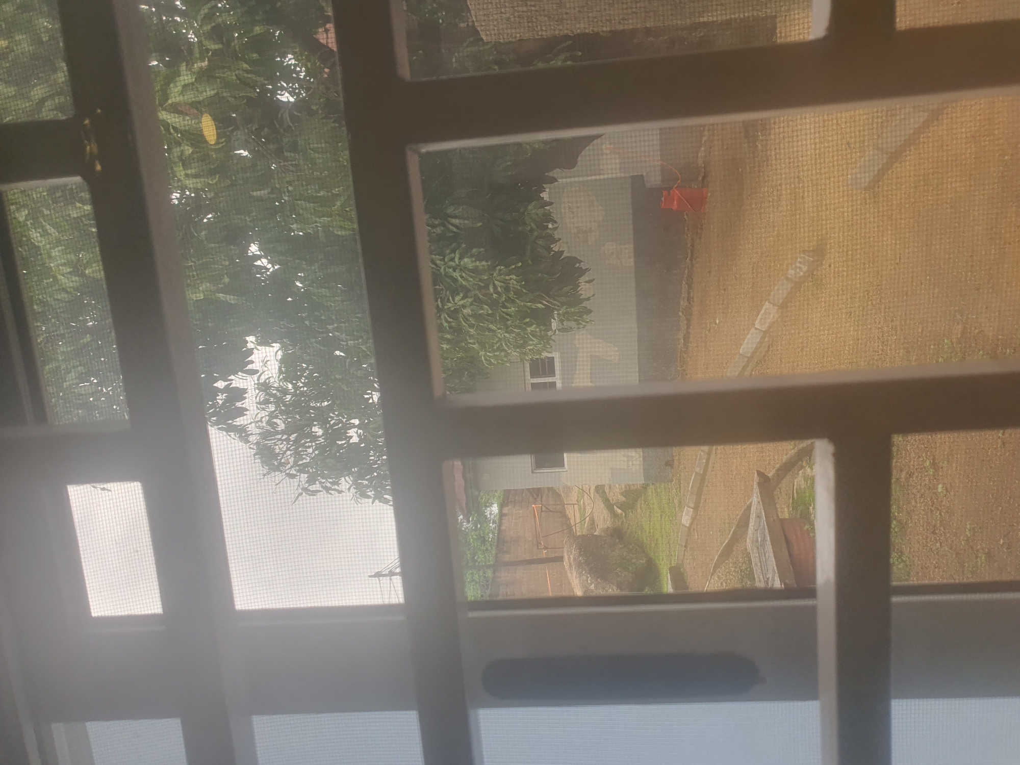 The image captures a view through a window with a screen, looking out onto an outdoor scene. In the foreground, horizontal and vertical bars of the window frame are visible, along with the mesh of the screen. Beyond the window, the environment appears to be a courtyard or open area.
Dominating the mid-ground is a light-colored building with windows. To the left of the building, a large, light-colored rock formation is situated on a grassy area. Further left, a stone wall is visible. Several trees with lush green foliage are scattered throughout the scene, with one prominent tree in the mid-ground to the right of the building.
In the foreground of the courtyard, a red gas cylinder is standing upright. The ground surface is mostly dirt or sand, with some areas of gravel and patches of grass. A paved pathway or border runs along the edge of the courtyard. In the far left of the image, a wooden structure, possibly a bench or table with a concrete top, is visible on the grassy area. The sky appears overcast, suggesting a cloudy day. The overall impression is of a residential or institutional compound.
While specific details about the exact location within the city of Jos, Nigeria, cannot be definitively determined from the visual information alone, the scene depicts a typical outdoor environment that could be found in such a location. The presence of the building, trees, rock formations, and the general atmospheric conditions are consistent with elements found in Jos. The image does not contain any identifiable people or specific actions.