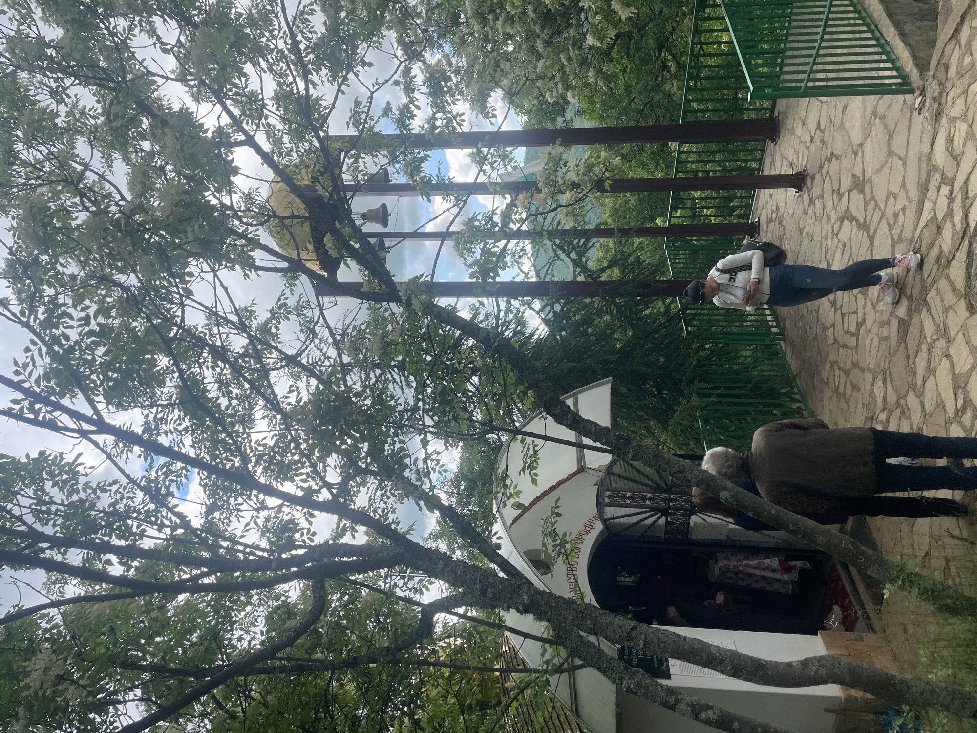 The scene shows the Orthodox church in Novo Selo, Bulgaria, situated on a hillside overlooking a forested area. A tree with white blossoms dominates the foreground. A woman in a white jacket, dark pants, and sneakers stands near a green metal railing, appearing to look at her phone. Several other individuals are near the entrance to the white-painted church. The dome of the church is topped with a gold onion dome. Several bells are seen hanging from a metal structure behind the church. The ground is covered with light-colored paving stones.