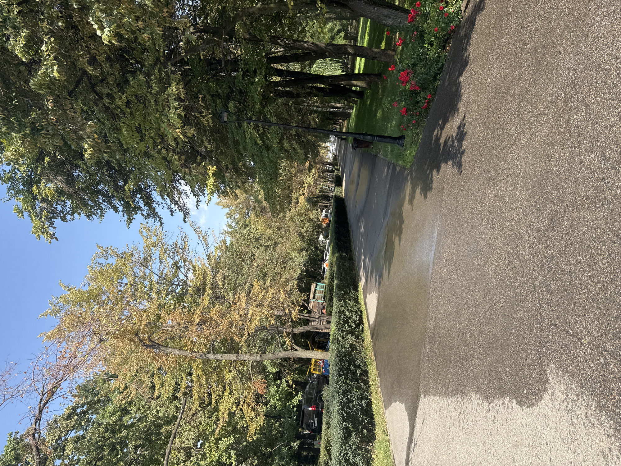The image depicts a paved pathway in a park-like setting with trees on either side. The pathway appears wet in some sections, suggesting recent rain or watering. Trees with a mix of green and yellowing leaves are prominent, indicating an autumn season. A well-maintained hedge runs along the left side of the pathway, and beyond it, several vehicles are parked, including a dark-colored SUV and a truck with a trailer. On the right side of the pathway, there is a lamppost and a trash bin, with a bed of vibrant red roses in the foreground. The sky is clear and blue.
The scene is consistent with a public park in Almaty, Kazakhstan, such as Panfilov Park or Central Park, known for their tree-lined pathways, manicured greenery, and floral displays. The presence of vehicles and the general ambiance suggest a typical day in a city park.