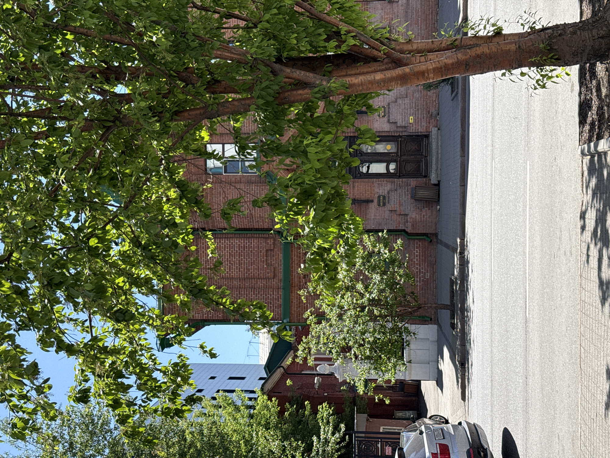 In Krasnoyarsk, Russia, on a sunny day, a wide asphalt road runs horizontally across the foreground, with a few white lines marking lanes. To the left, the rear of a silver SUV is visible, parked partially on the road and partially on the sidewalk. The sidewalk is paved with grey concrete slabs and features a shaded area created by trees.
In the midground, a red brick building with green trim stands prominently. It has several windows, some with dark frames, and a large, dark wooden double door with ornate carvings and glass panels. To the left of this main building, a smaller red brick structure is partially visible, featuring a white classical-style statue and a decorative pillar. A dark metal fence with intricate scrollwork borders the property on the far left.
The background is dominated by lush green trees, with a clear blue sky overhead. A modern white building with dark windows is visible behind the trees on the left. The overall scene depicts a streetscape with a mix of historical and modern architecture, bordered by abundant vegetation.