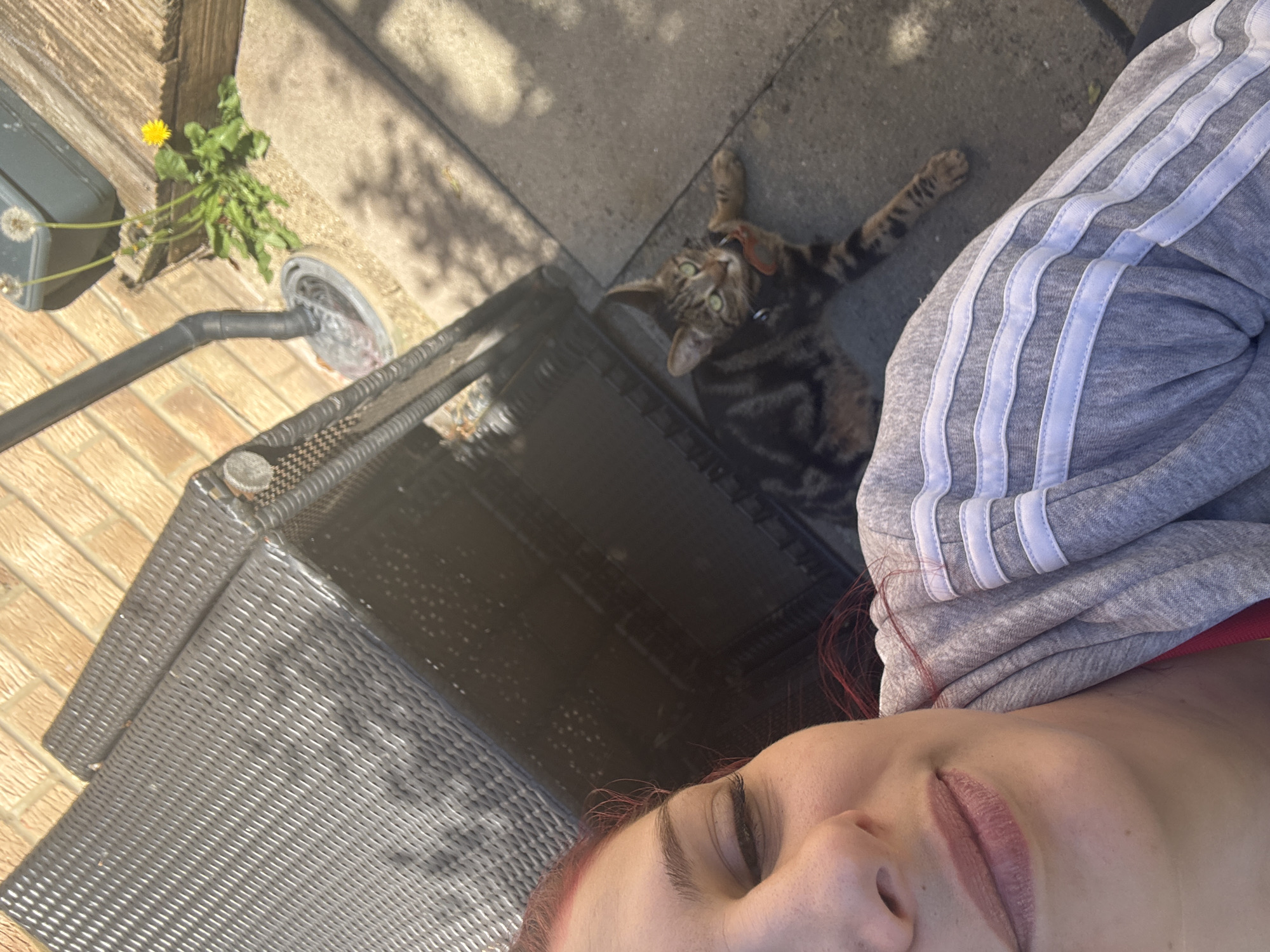 The image captures an outdoor selfie featuring a person and a tabby cat on a sunny day in Desborough, United Kingdom. The perspective is from the person's point of view, looking downwards.
In the foreground, the lower portion of a person's face is visible, including their nose, lips, and chin, with reddish hair framing the face. Their eyes are partially closed or looking downwards. They are wearing a grey hooded sweatshirt with distinctive white stripes running down the sleeve, likely an Adidas brand.
The main subject is a brown and black tabby cat, which is lying on its back on a concrete surface, gazing directly up towards the camera with bright green eyes. The cat appears relaxed and possibly playful, with its paws extended. It is wearing a collar.
The surrounding environment suggests a residential outdoor space, likely a patio or garden. Part of a dark grey wicker-style outdoor furniture piece (perhaps a chair or table) is visible. The ground is a mix of light-colored brick-patterned paving and concrete slabs. In the upper left corner, there's a small patch of greenery with a vibrant yellow dandelion in bloom and other dandelions showing white seed heads. A black hose or pipe with a circular grey attachment is also present on the ground. The strong, direct sunlight casts clear shadows, indicating a bright, clear day, likely during the mid-day or afternoon. No explicit text is visible.