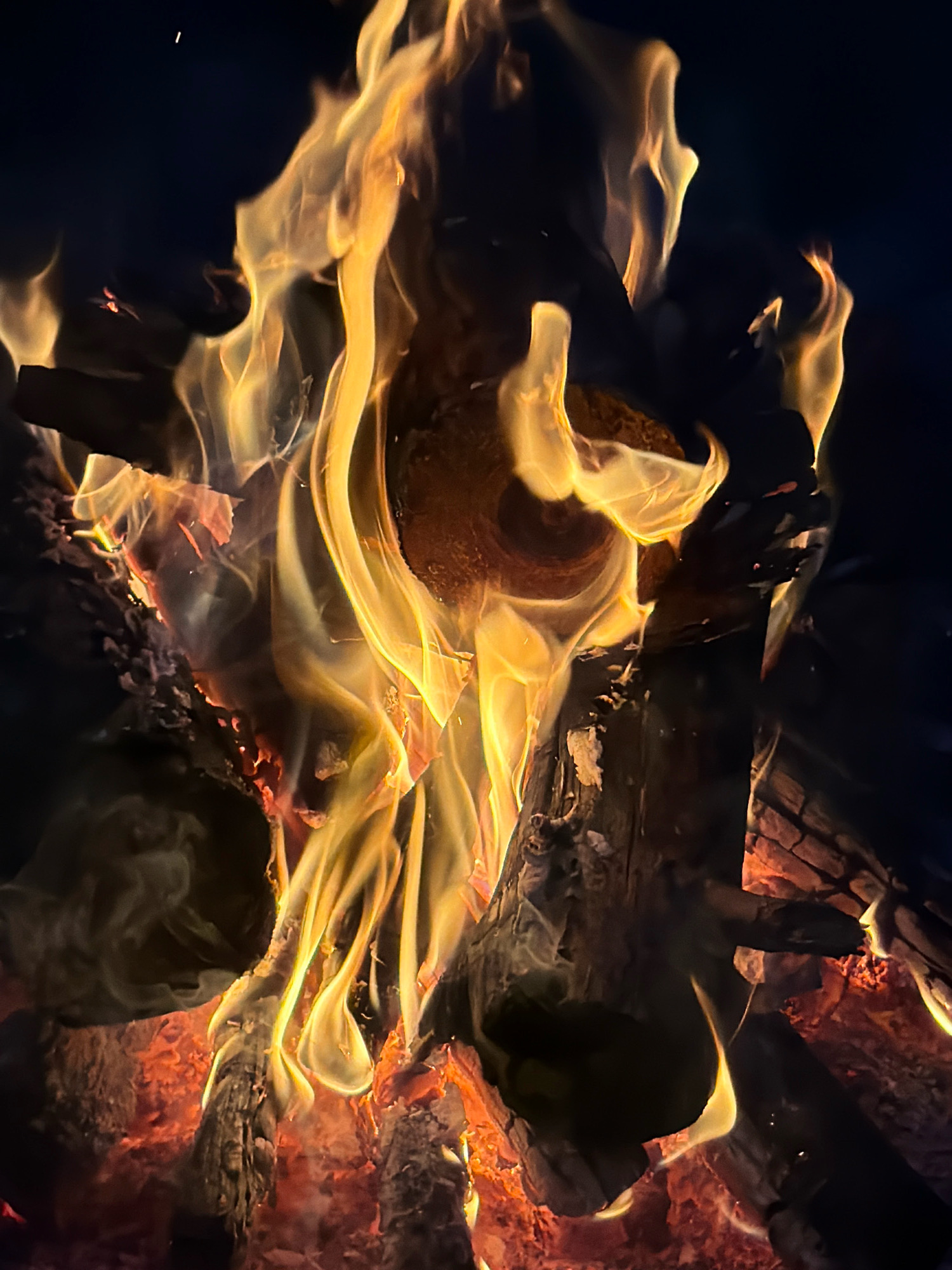 The image depicts a close-up view of a bonfire at night. The flames are predominantly yellow and orange, with some white at the hottest points, licking around several pieces of dark, charred wood. The background is a dark, indistinct void, suggesting the absence of artificial light. There are no people visible in the frame. The scene is likely outdoors, given the context of a bonfire, and the mention of Zerkal'nyi, Russia, places it in a specific geographical location, though this detail does not alter the visual description of the fire itself. The fire appears active and the wood is visibly burning.
