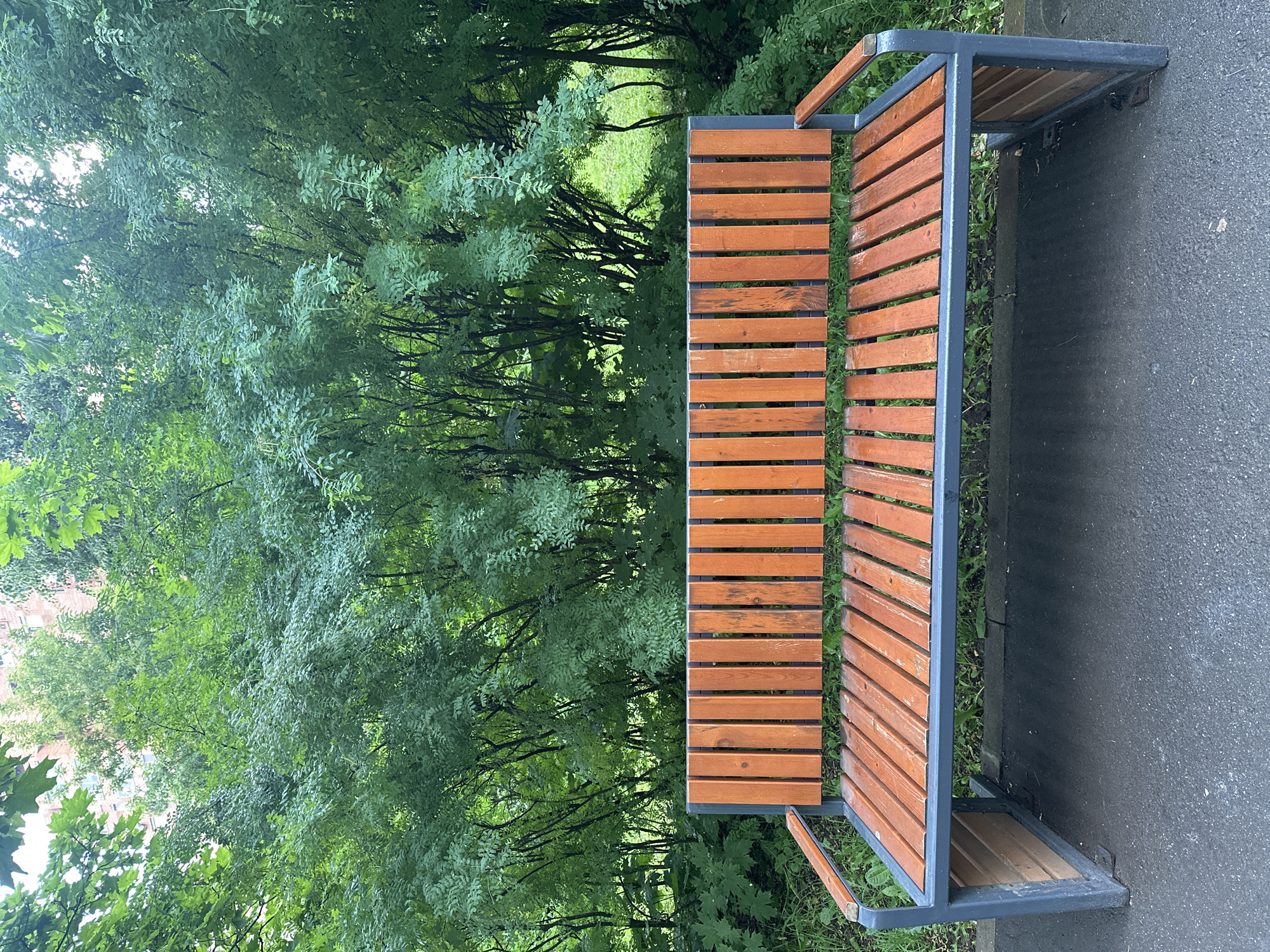 An empty wooden park bench with metal legs is centered in the foreground, positioned on an asphalt pathway. The bench is wet, indicating recent rain. Behind the bench, a dense green hedge of trees and bushes forms a backdrop, with a glimpse of a brick building visible through the foliage at the top left. The environment suggests a park or public space in the city of Khimki, Russia, possibly during or after a rainfall due to the wet surfaces. No people or animals are present in the image.