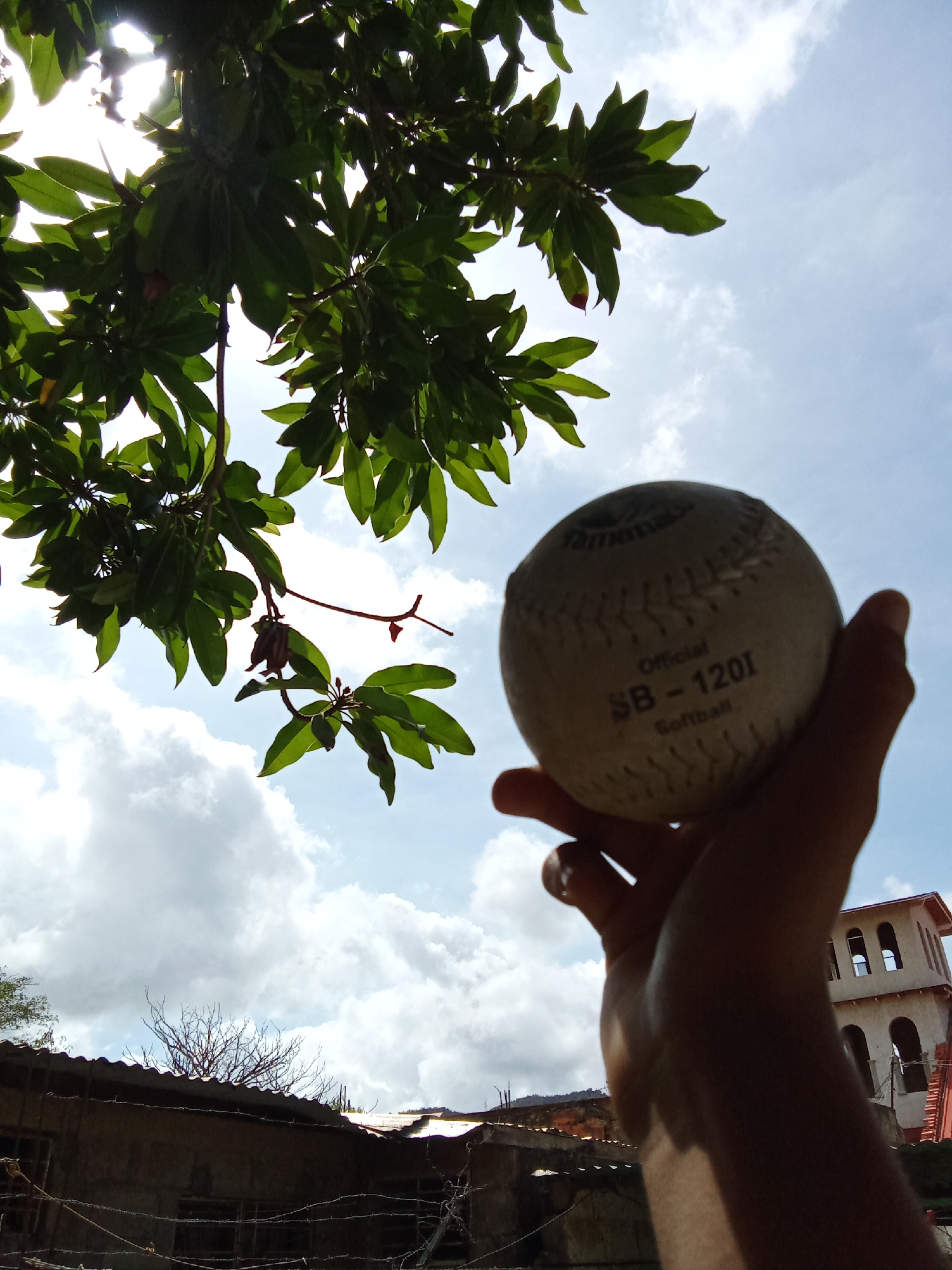 A hand is holding a softball in front of a partly cloudy sky. The softball has the inscription "Official SB-120I Softball". Overhanging branches and leaves are visible in the upper left corner of the image. The backdrop includes buildings, one with an arched structure, that are characteristic of the architecture found in Juan Griego, Venezuela.