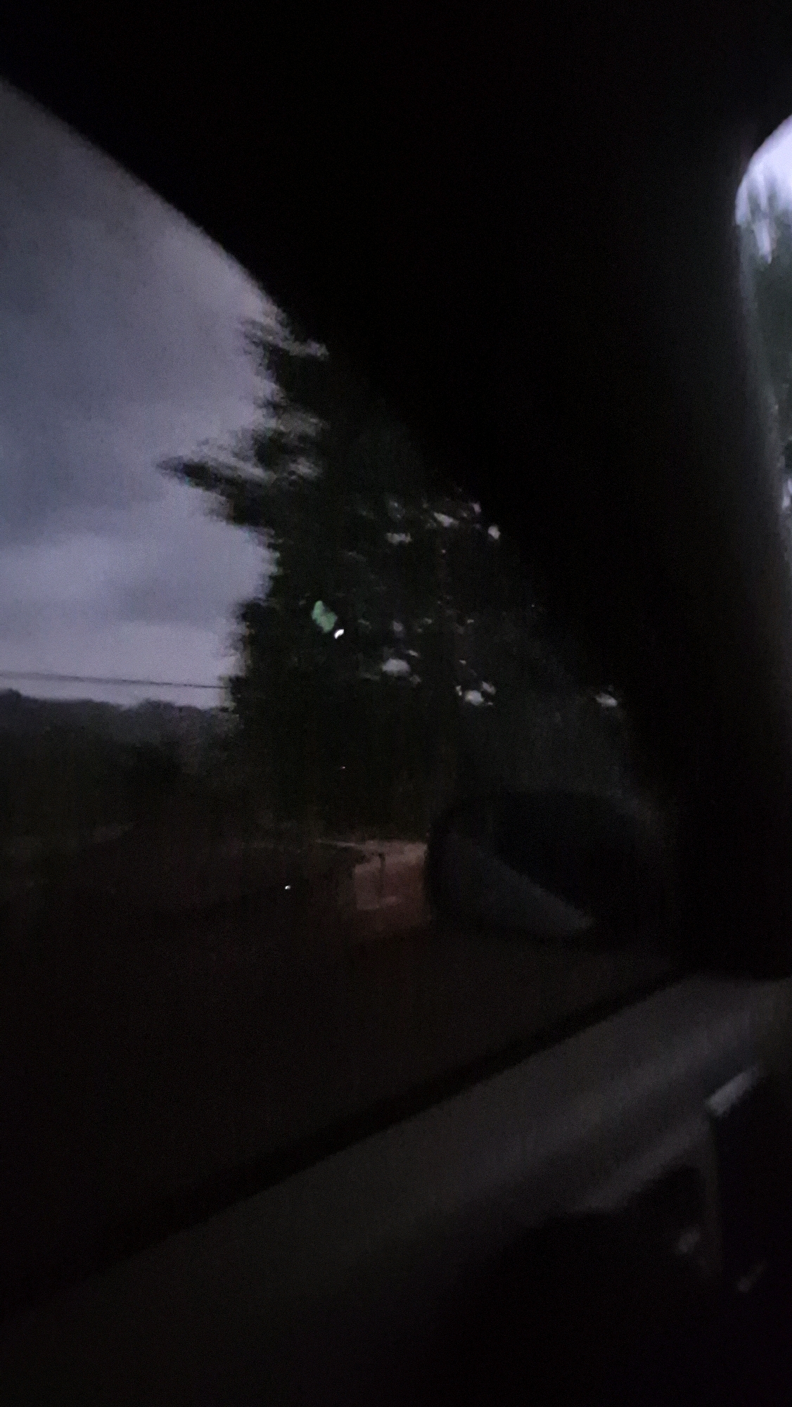 The image appears to be taken from inside a vehicle at dusk or during the night, looking out a window. The foreground is dominated by dark car interior elements, including a portion of the door panel and a blurred area that could be a seat. Outside the window, the scene is dark and somewhat blurry. There is a tree with foliage visible, silhouetted against a dusky sky. In the distance, faint shapes suggest a landscape with hills or mountains. Some lights, possibly from houses or streetlights, are visible in the middle ground, and a structure, perhaps a building or wall, is partially discernible. The overall impression is a view from a moving vehicle in a semi-rural or suburban area at twilight.