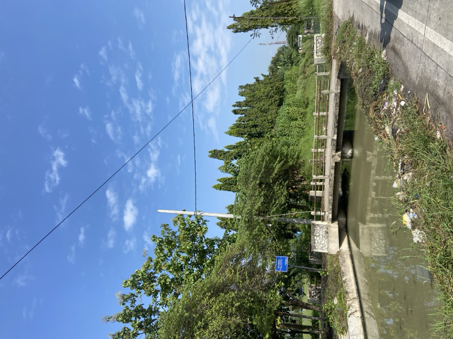 A concrete bridge spans a canal, located in Kecamatan Tulangan, Indonesia (latitude: -7.477, longitude: 112.64). The canal is filled with murky, greenish water and contains floating debris. The canal bank is covered in dense vegetation and littered with trash. A dirt road borders the canal to the right. The scene is taken under a partly cloudy, blue sky. A blue sign is visible on the left side of the bridge, but the inscription is unreadable. Several power lines run across the sky. A row of trees lines the far bank of the canal. Green vegetation covers the bank behind the trees. The vegetation is overgrown and dense, and the foliage appears to be primarily green. The scene is devoid of people.