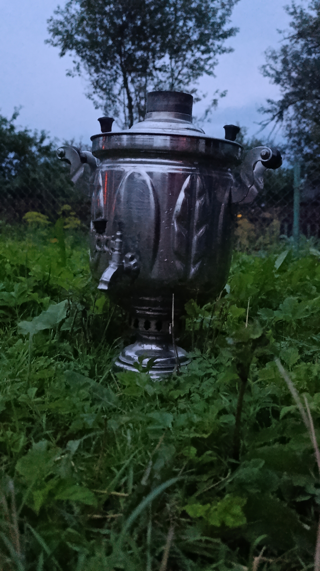 A silver samovar sits in tall green grass with trees in the background under a twilight sky. The samovar is ornate with handles and a spout. The surrounding area is overgrown with foliage. There is a wire fence visible behind the samovar. The scene appears to be in an outdoor, rural setting.