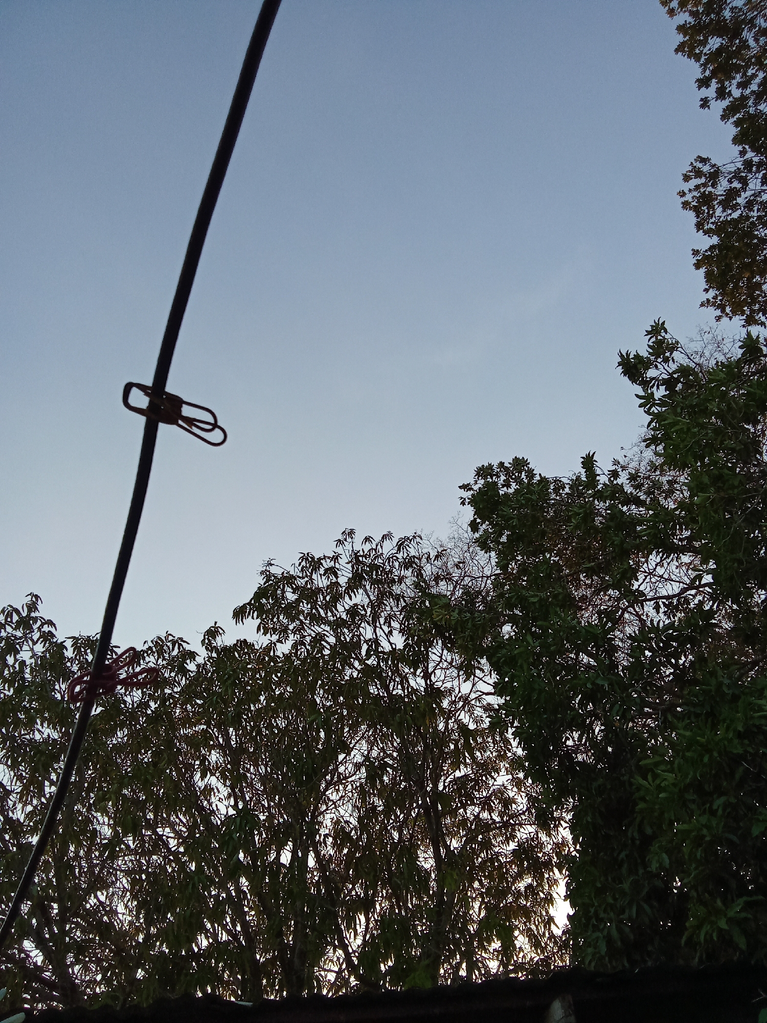 The image, likely taken in Juan Griego, Venezuela, presents a low-angle shot under a pale blue sky. A dark, possibly metal, wire or cable extends from the lower left upwards, diagonally across the frame. A simple, looped metal clasp is attached to the wire. To the right and below the wire, a dense cluster of trees is visible, their leaves creating a dark, textured mass. Some branches are bare or thinly foliated. At the very bottom, a dark, indistinct line, potentially a roofline or fence, cuts across the image. The light appears subdued, suggesting either early morning or late afternoon. No people are visible.