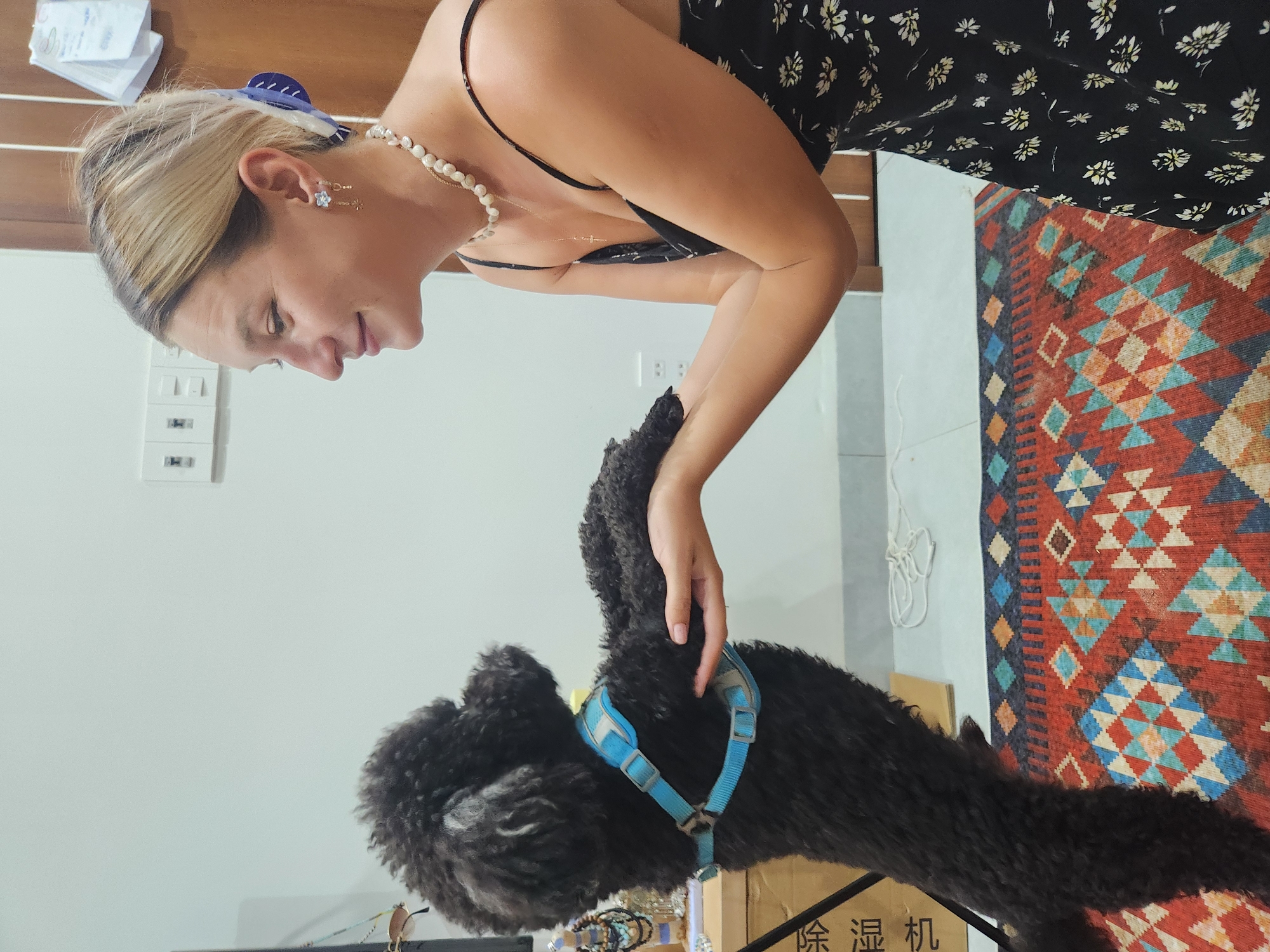 A woman with blonde hair pulled back in a bun, wearing a black floral dress and pearl necklace, is holding a small black poodle on its hind legs. The dog is wearing a blue harness. They are standing on a colorful rug in what appears to be an indoor setting, likely an apartment or house in Đà Nẵng, Vietnam. The wall behind them is white with light switches. A wooden door and a cardboard box are visible in the background.