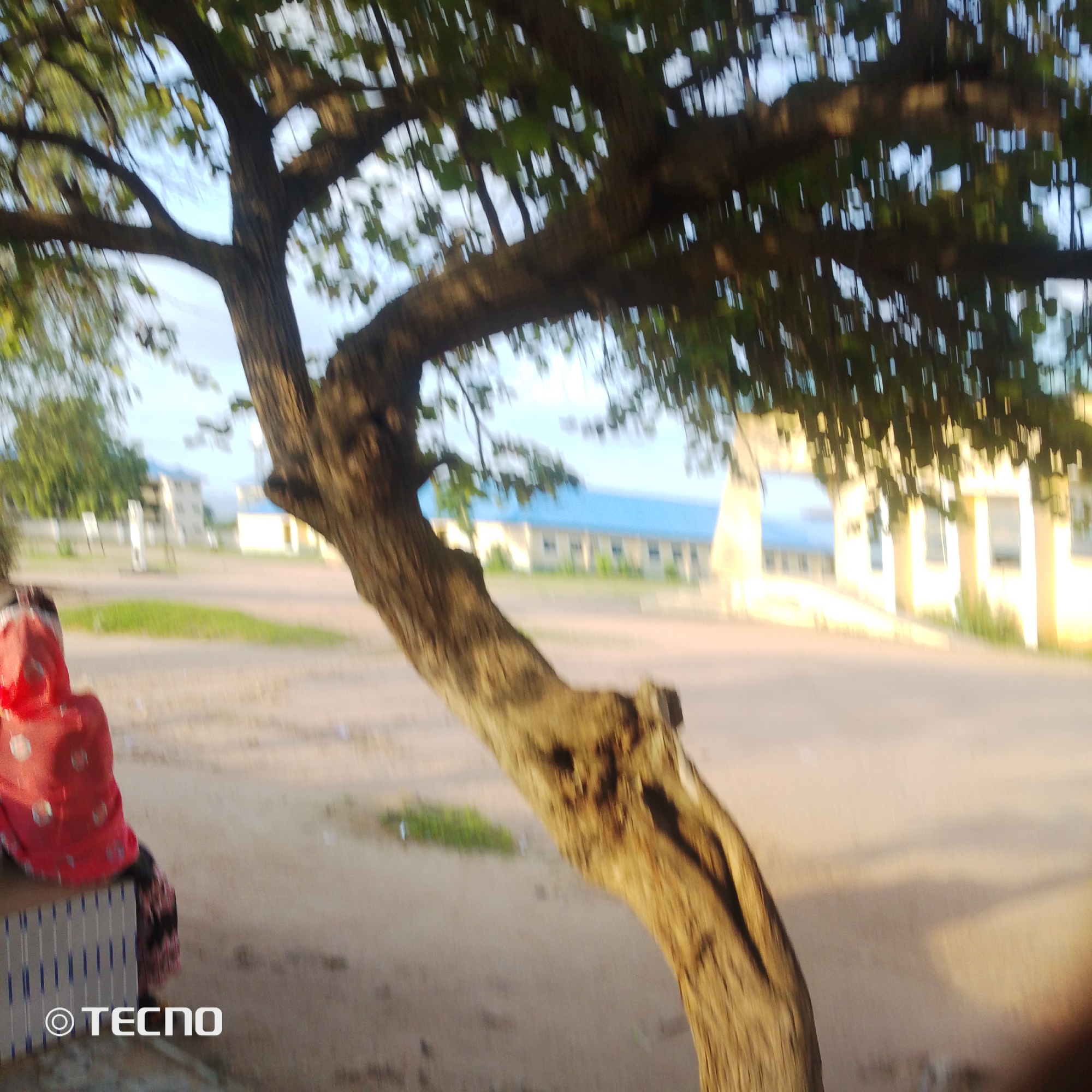 In Jalingo, Nigeria, a person wearing a red garment is seated on a bench, partially obscured by a large tree trunk and branches. The tree's foliage is dense and casts shadows. In the background, several buildings with blue roofs and light-colored walls are visible. The ground appears to be unpaved, with patches of dry grass. The overall scene suggests an outdoor setting within a populated area.