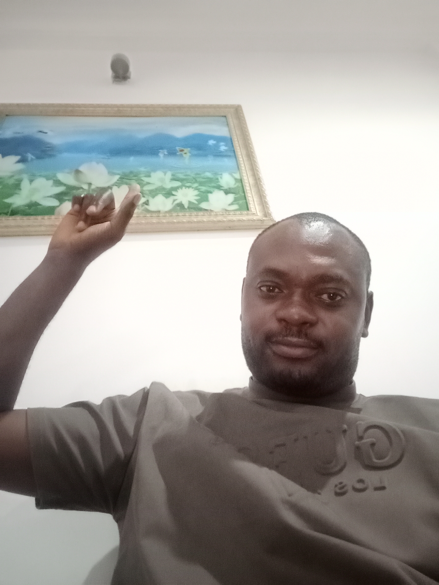 A medium-shot portrait features a dark-skinned man in an indoor setting in Gwarinpa, Nigeria. He has short, dark hair, a beard, and a mustache, and looks directly at the camera with a neutral expression. His right arm is raised, suggesting he is holding the camera for a selfie. He is wearing a plain grey t-shirt with an embossed design or logo on the chest; characters such as "JD" or "JO" and "COL" or "103" are faintly discernible due to the texture and lighting.
Behind the man, a framed painting hangs on a plain white wall. The artwork depicts a serene landscape with a bright blue sky, water, and prominent green and white flora, possibly lotus flowers, in the foreground. The painting is enclosed in a light-colored, ornate frame. Above the painting, a small, circular, grey object, likely a smoke detector or light fixture, is mounted on the wall. The indoor lighting appears bright and uniform, illuminating the subject and background clearly.