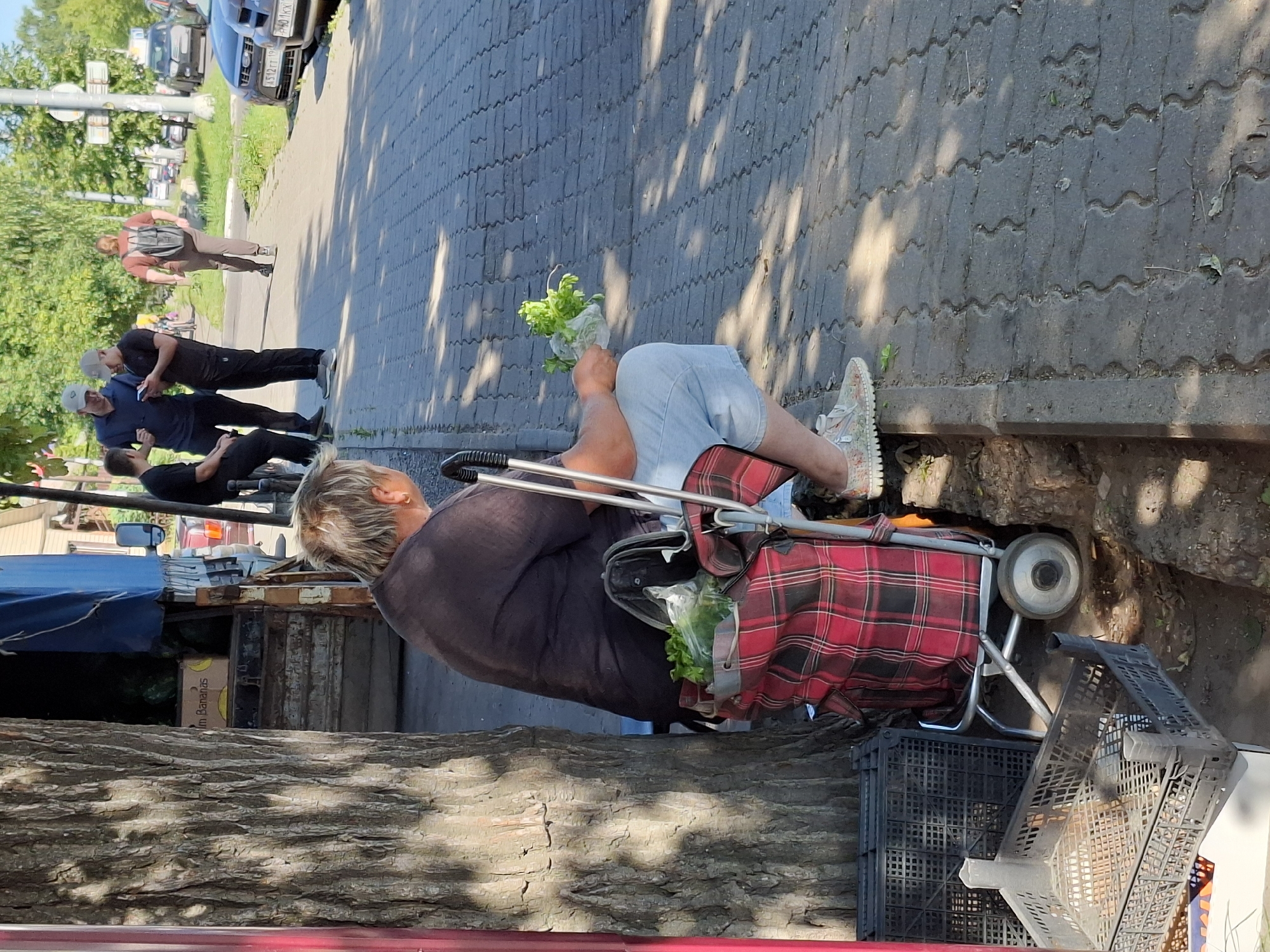 An overhead view captures a street scene with a woman sitting on a low ledge next to a tree, holding a bunch of leafy greens. She is wearing a dark t-shirt and light-colored shorts. Beside her, a red and black plaid shopping cart is filled with groceries. The scene appears to be outdoors on a sunny day, with dappled shadows cast by trees on the patterned pavement. In the background, several people are walking on the sidewalk, and cars are parked along the street. A stall with a blue awning and boxes of bananas is visible to the left.